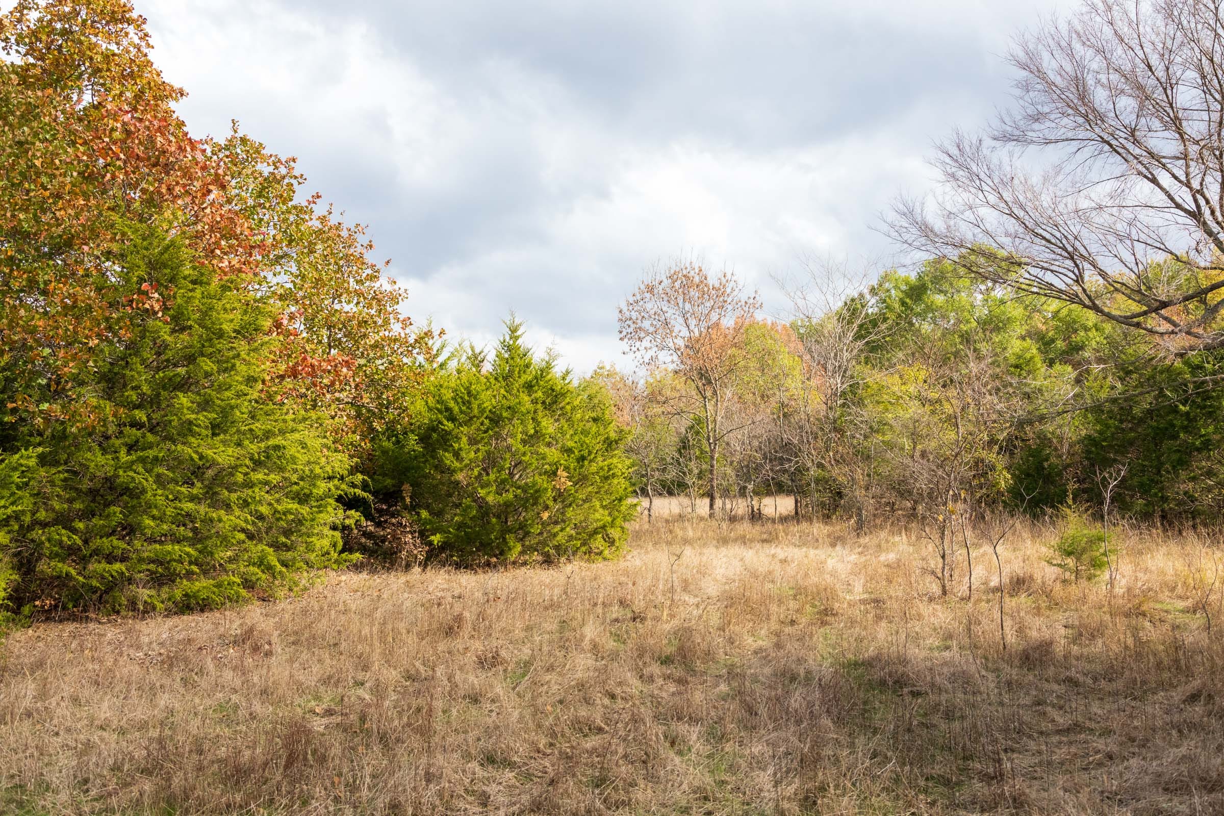 Crystal Springs Tract 9 photo 4