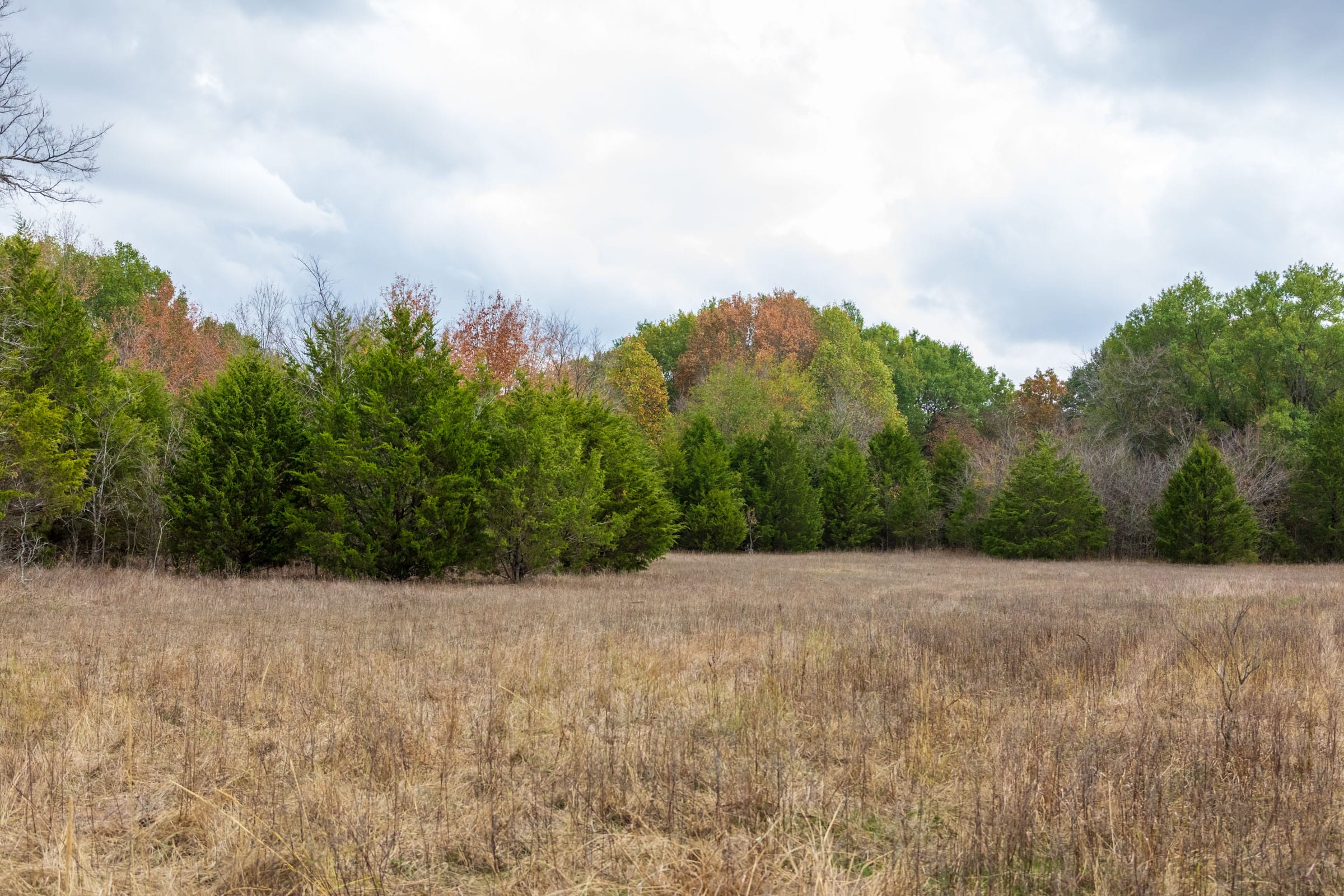 Crystal Springs Tract 9 photo 7