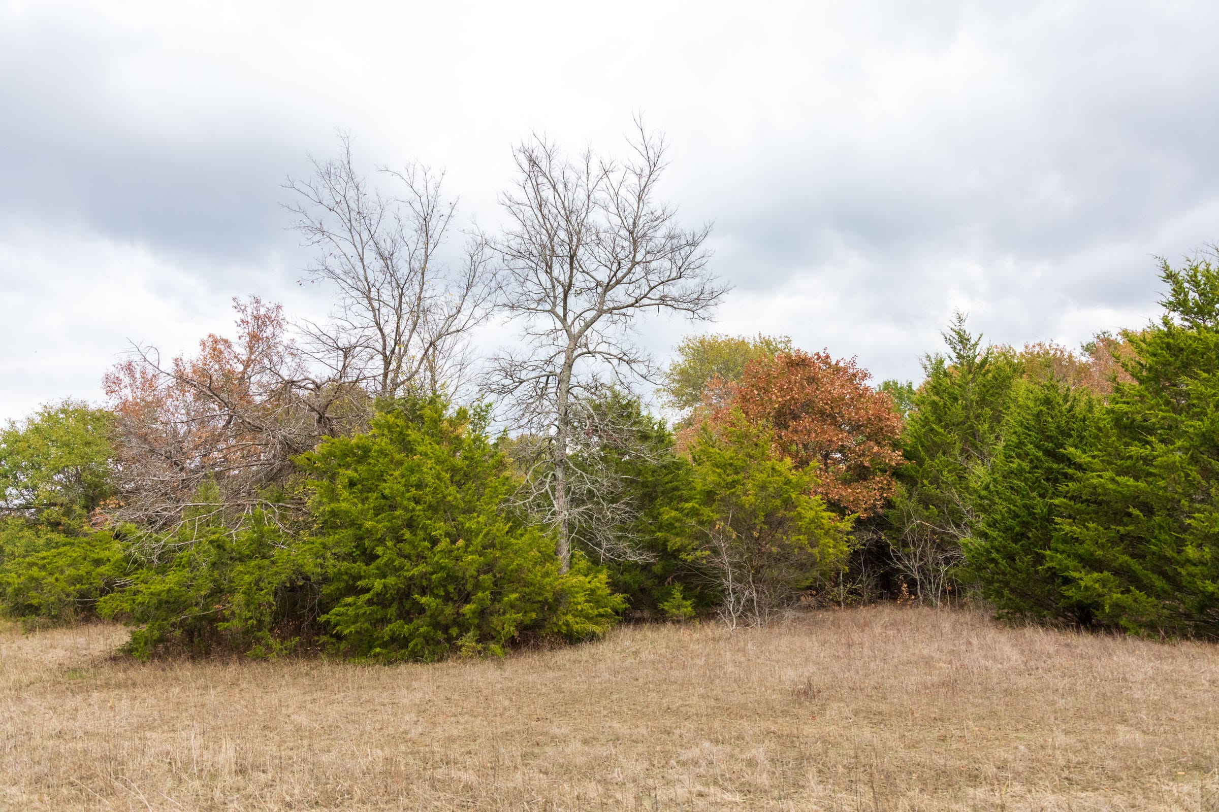 Crystal Springs Tract 9 photo 8