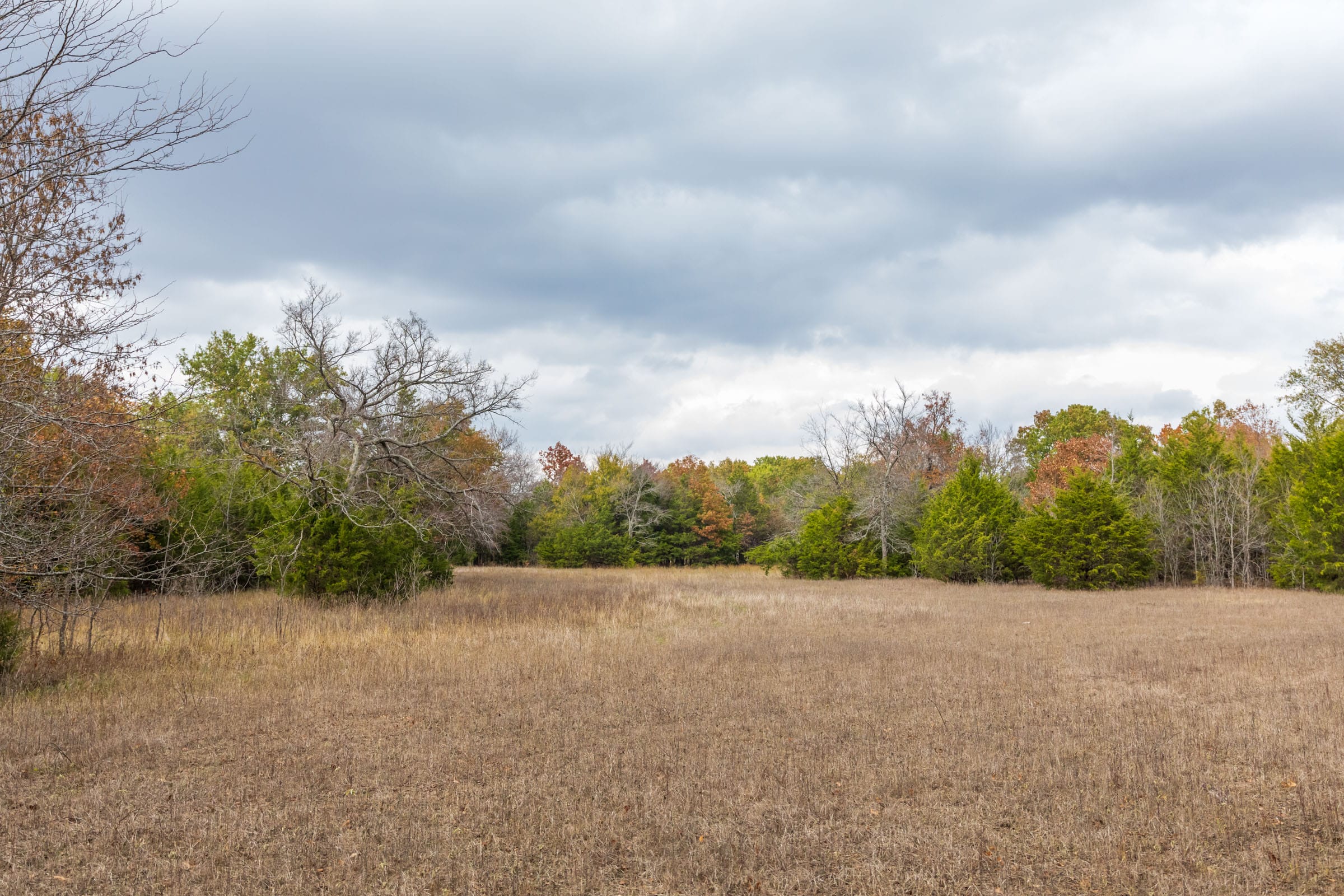 Crystal Springs Tract 9 photo 9