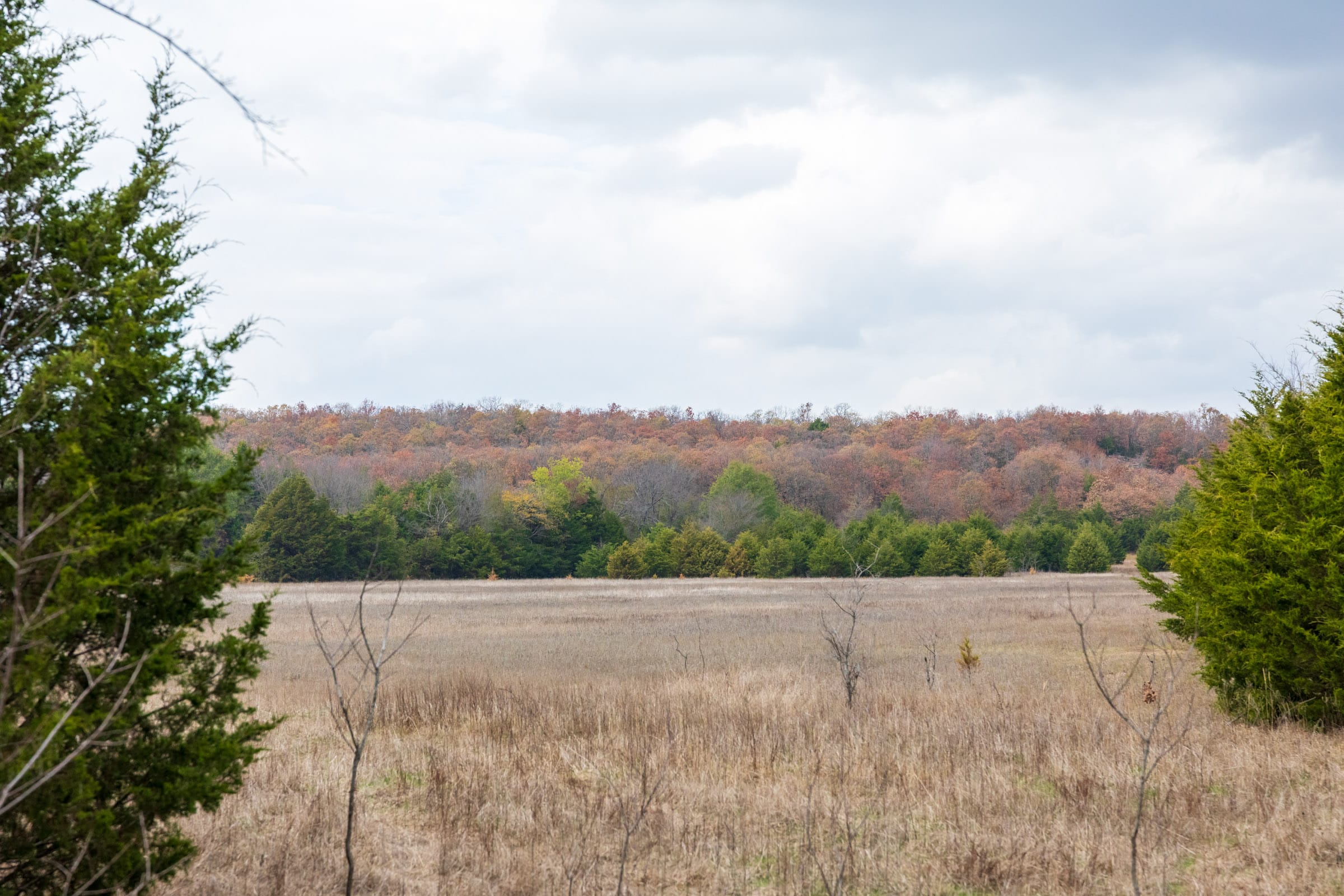 Crystal Springs Tract 9 photo 10