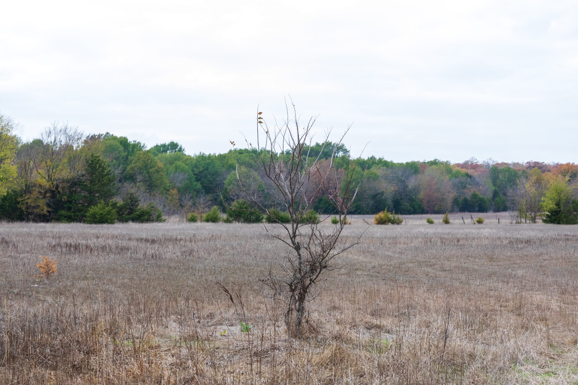 Crystal Springs Tract 9 photo 11
