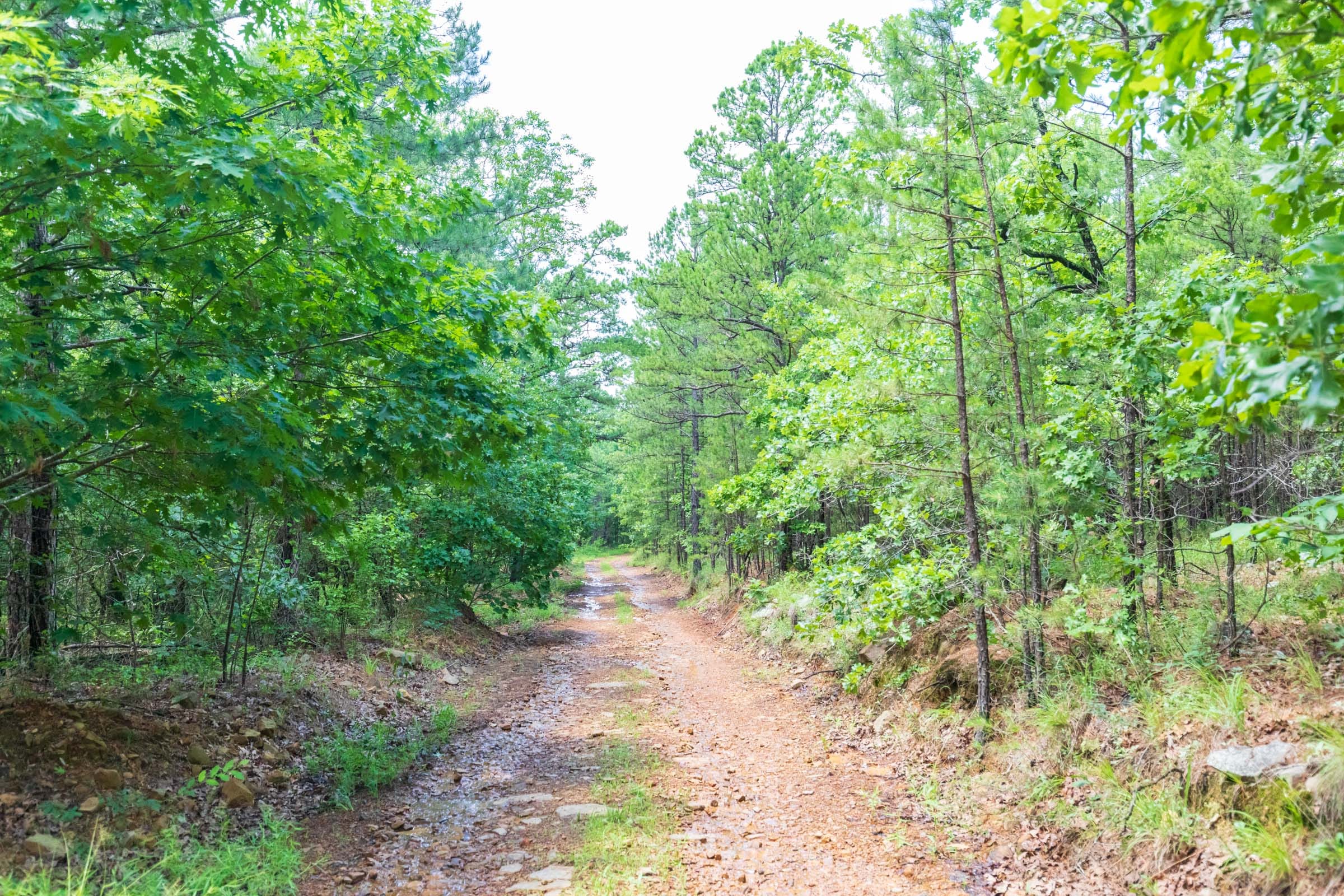 Stone Bridge Phase VI Tract 428 photo 1