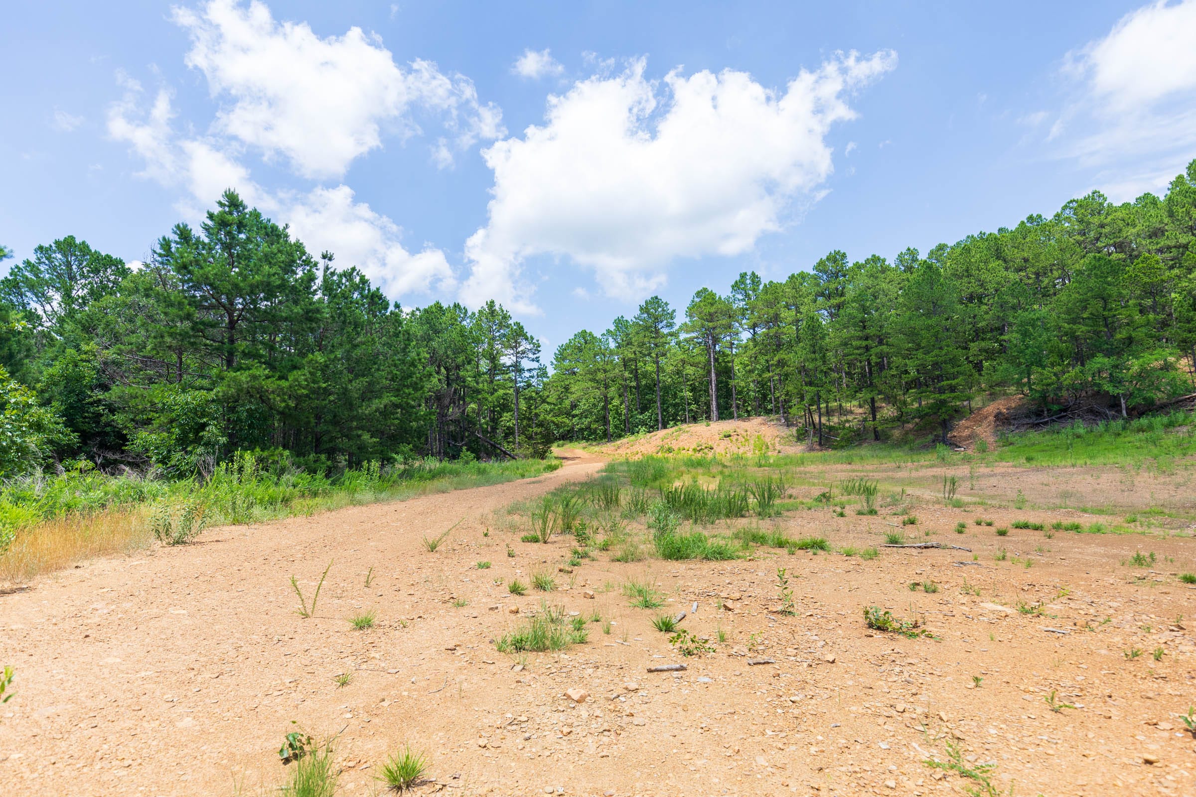 Stone Bridge Phase VI Tract 428 photo 6