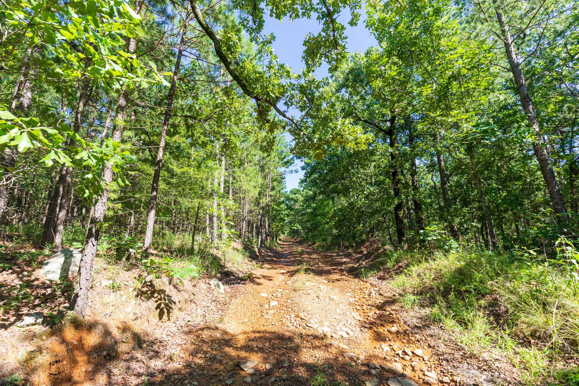 Stone Bridge Phase VI Tract 428 photo 10