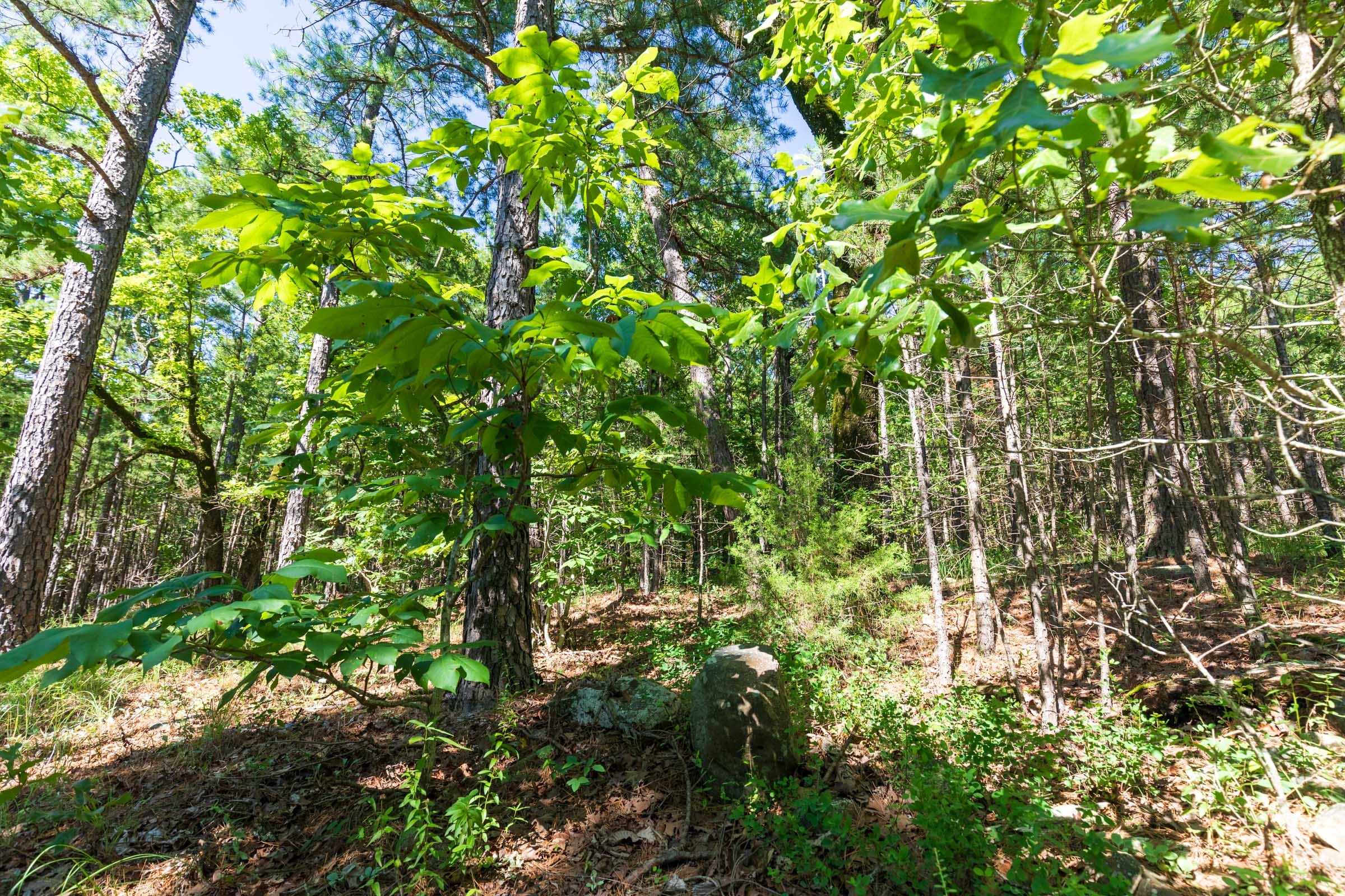 Stone Bridge Phase VI Tract 428 photo 11
