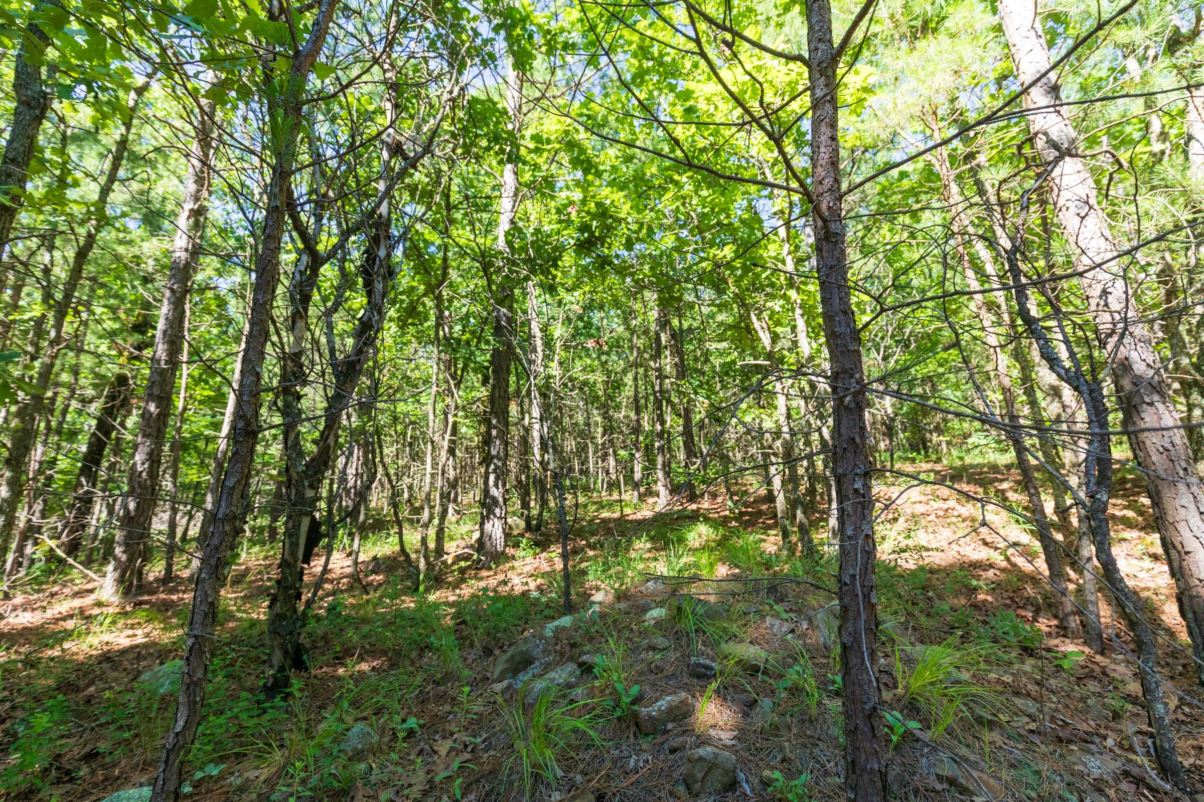 Stone Bridge Phase VI Tract 428 photo 12