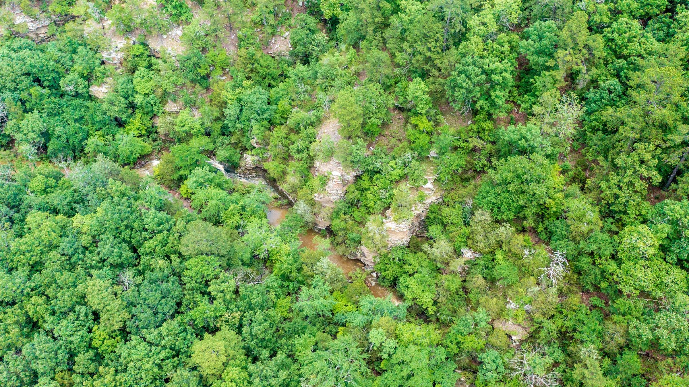 Stone Bridge Phase VI Tract 428 photo 15