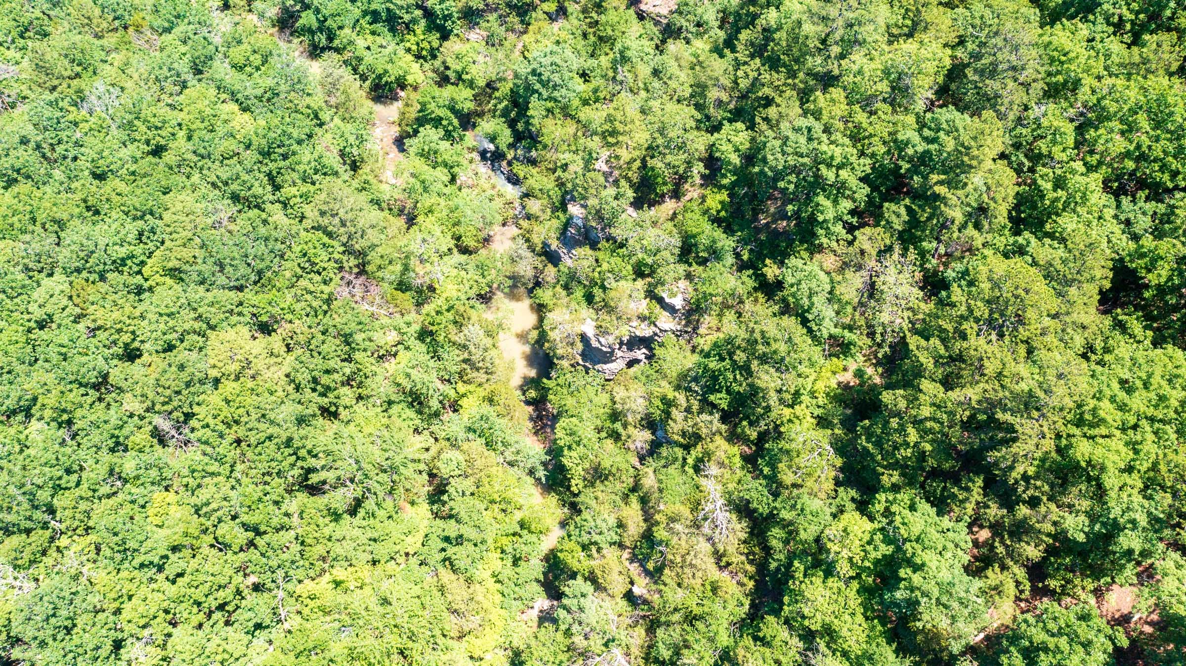 Stone Bridge Phase VI Tract 428 photo 16