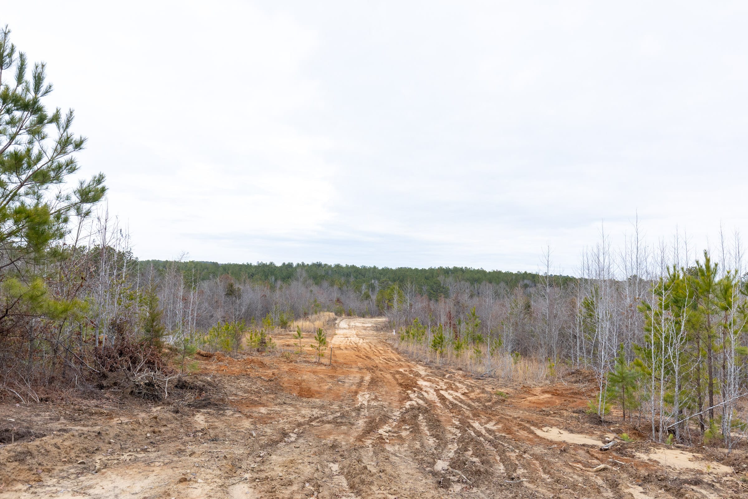 Baker Creek Tract 12 photo 9