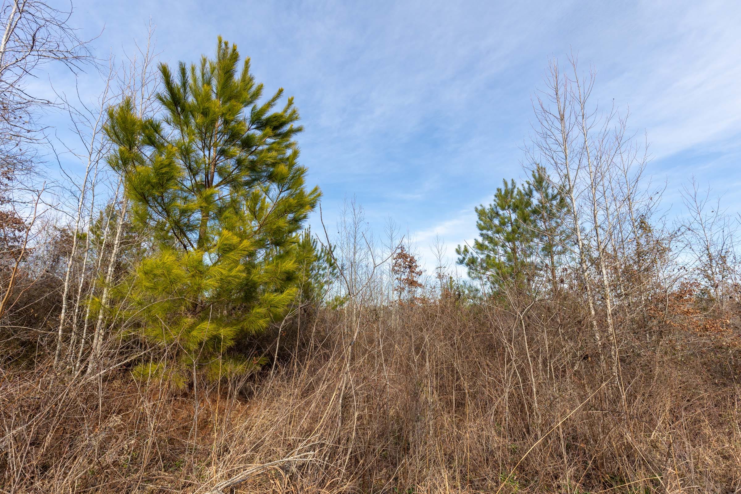 Baker Creek Tract 12 photo 1