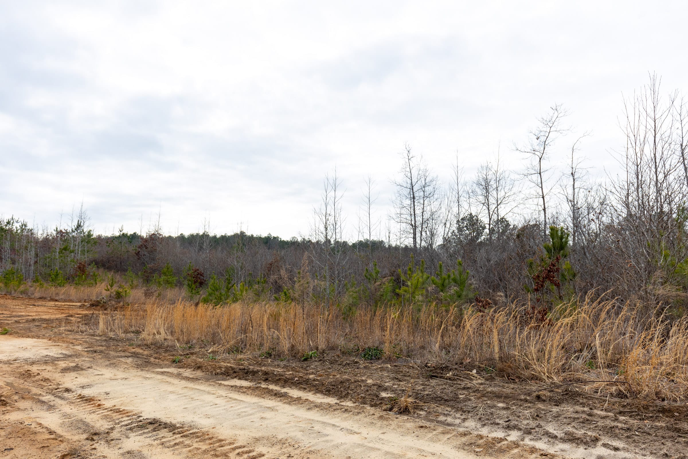 Baker Creek Tract 12 photo 3