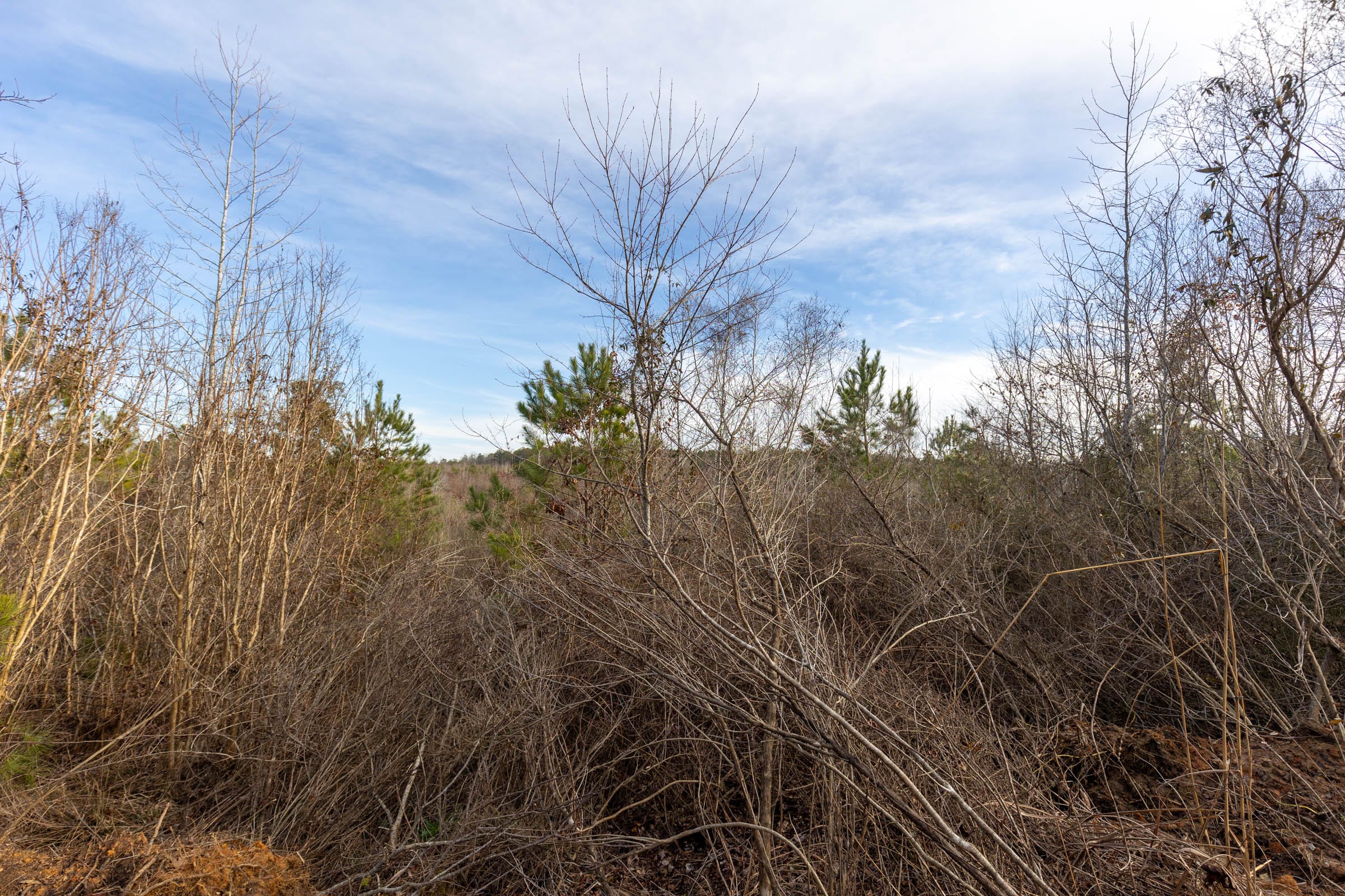 Baker Creek Tract 12 photo 2