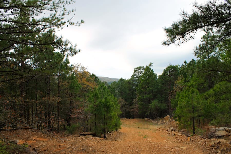 Trophy Ridge Phase III Tract 39 photo 1
