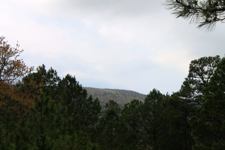 Trophy Ridge Phase III Tract 39 photo 2