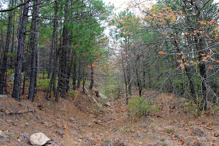 Trophy Ridge Phase III Tract 39 photo 7