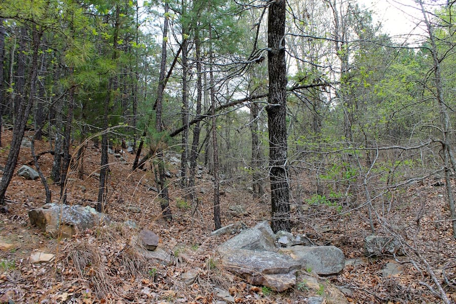 Trophy Ridge Phase III Tract 39 photo 11
