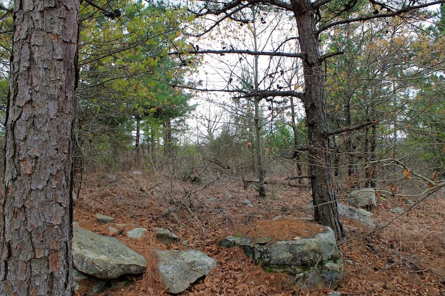 Trophy Ridge Phase III Tract 39 photo 12