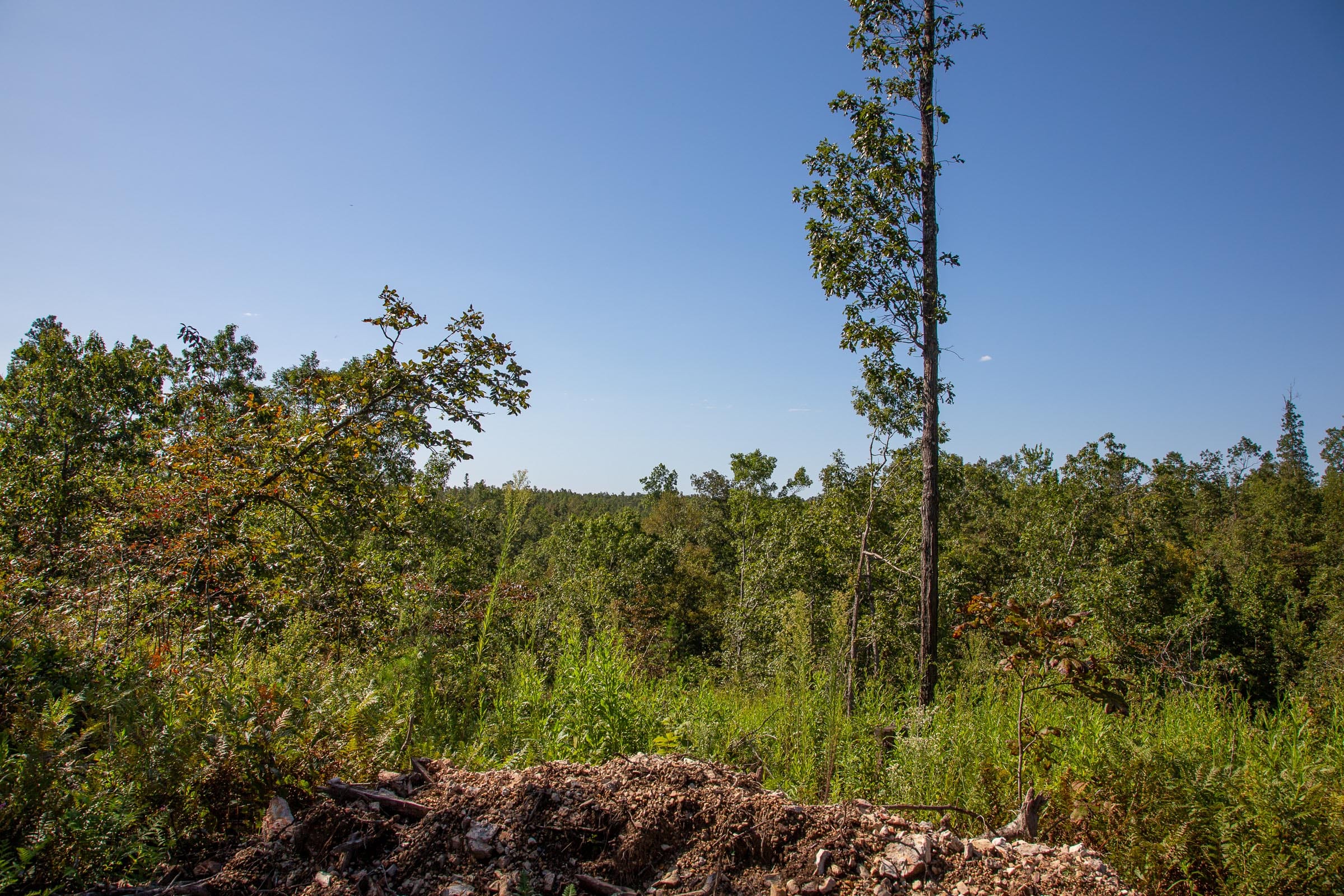 Borgmann’s Hollow Phase II Tract 49 photo 4