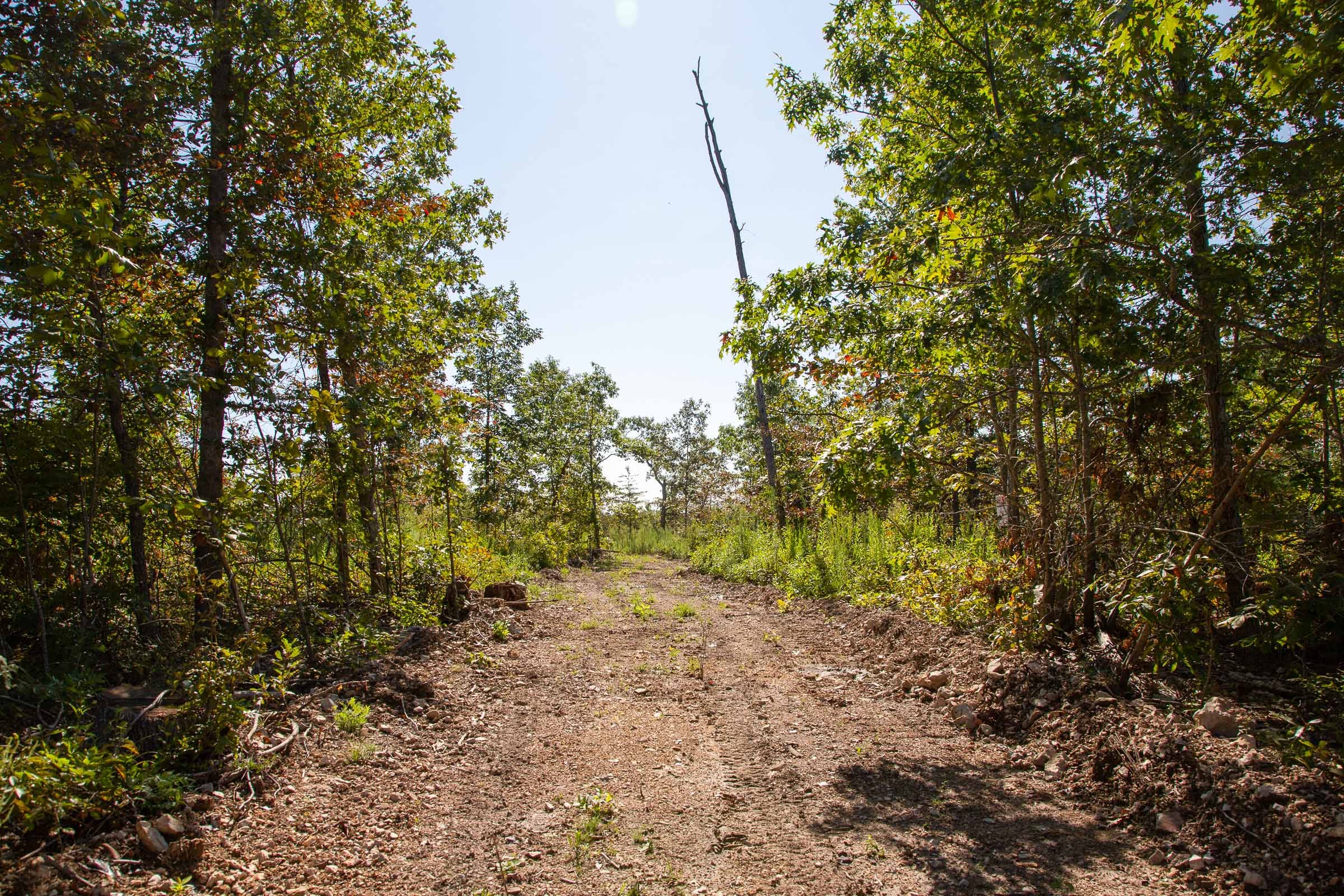 Borgmann’s Hollow Phase II Tract 49 photo 2