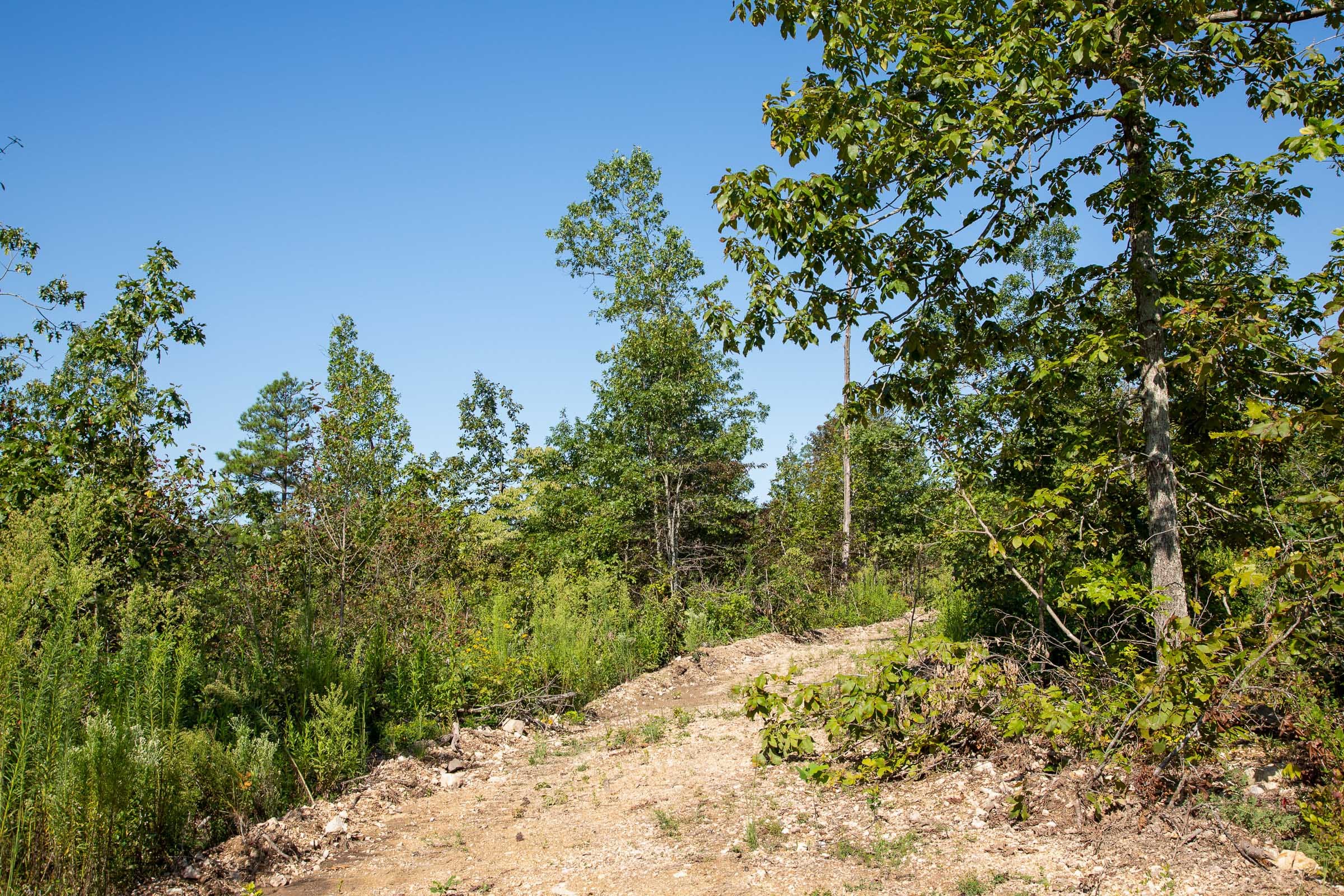 Borgmann’s Hollow Phase II Tract 49 photo 9