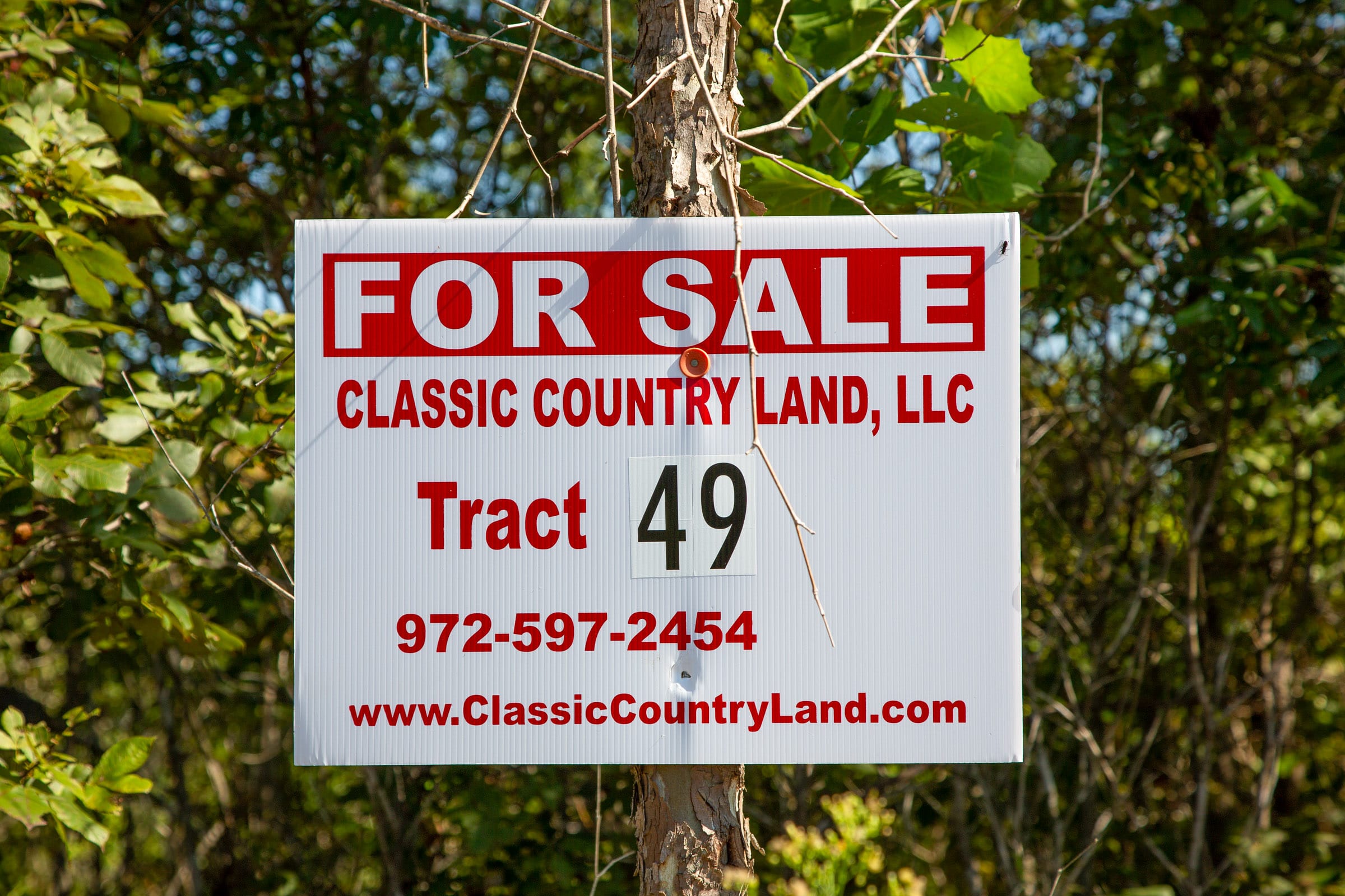 Borgmann’s Hollow Phase II Tract 49 photo 1