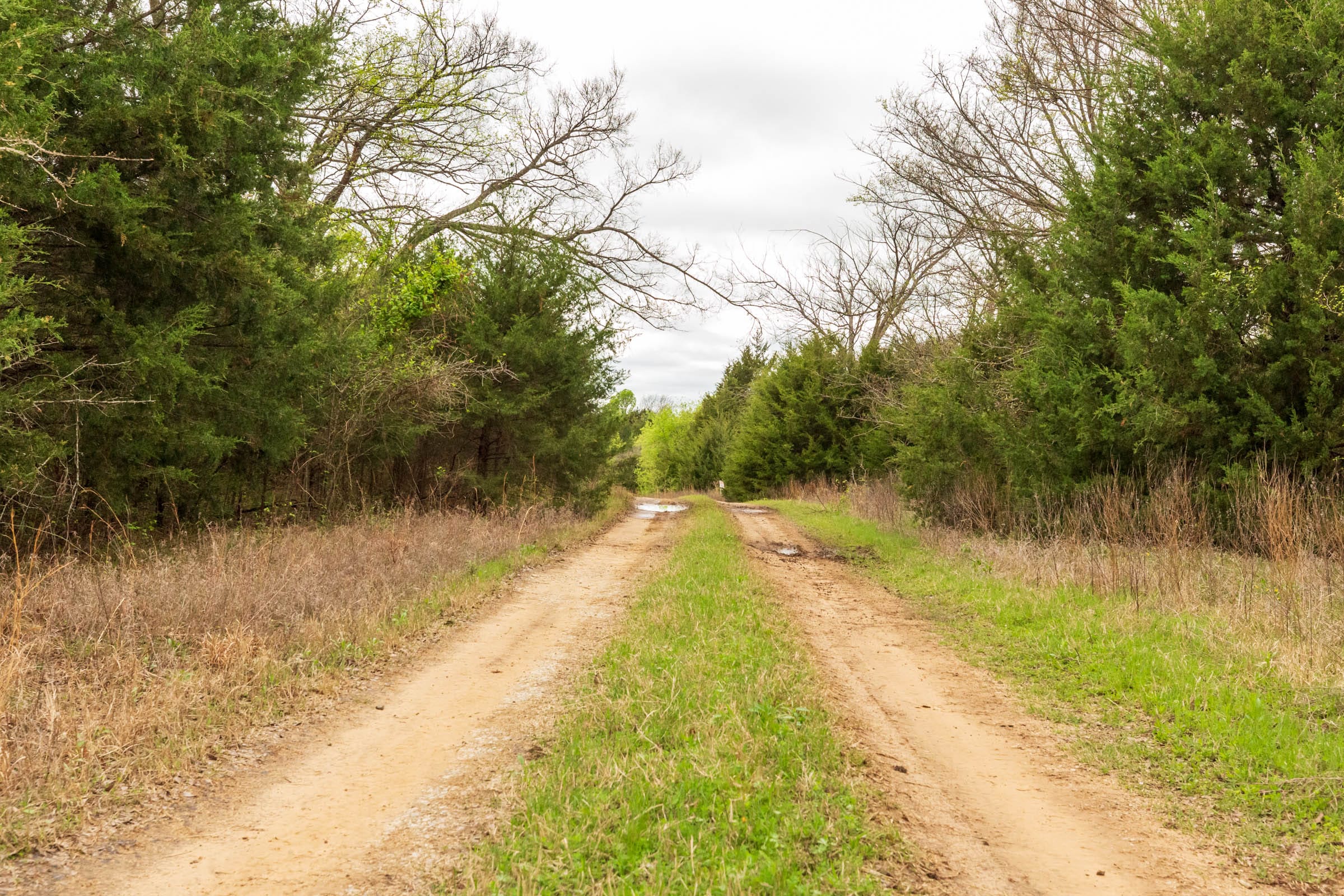 Moonrise Meadows Tract 14 photo 1