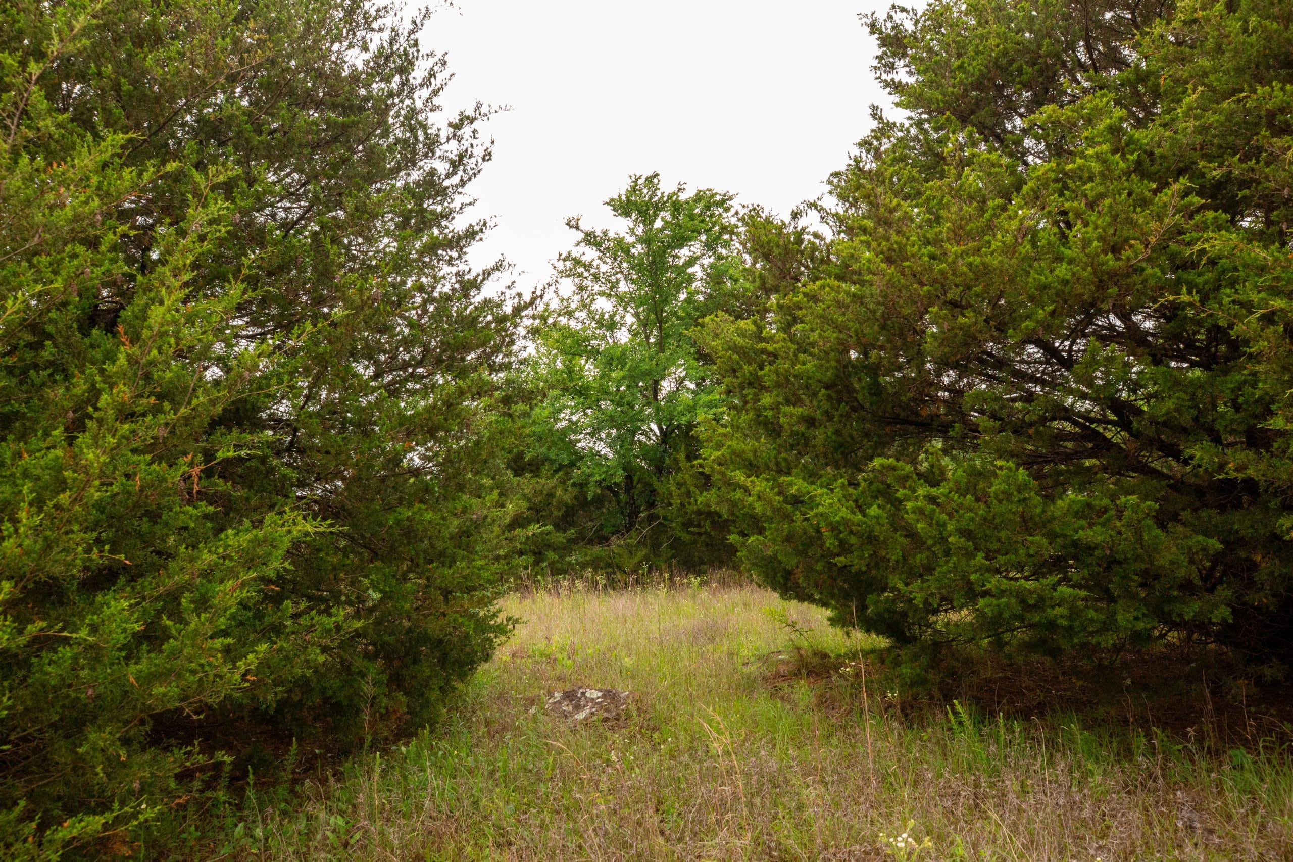 Moonrise Meadows Tract 14 photo 6