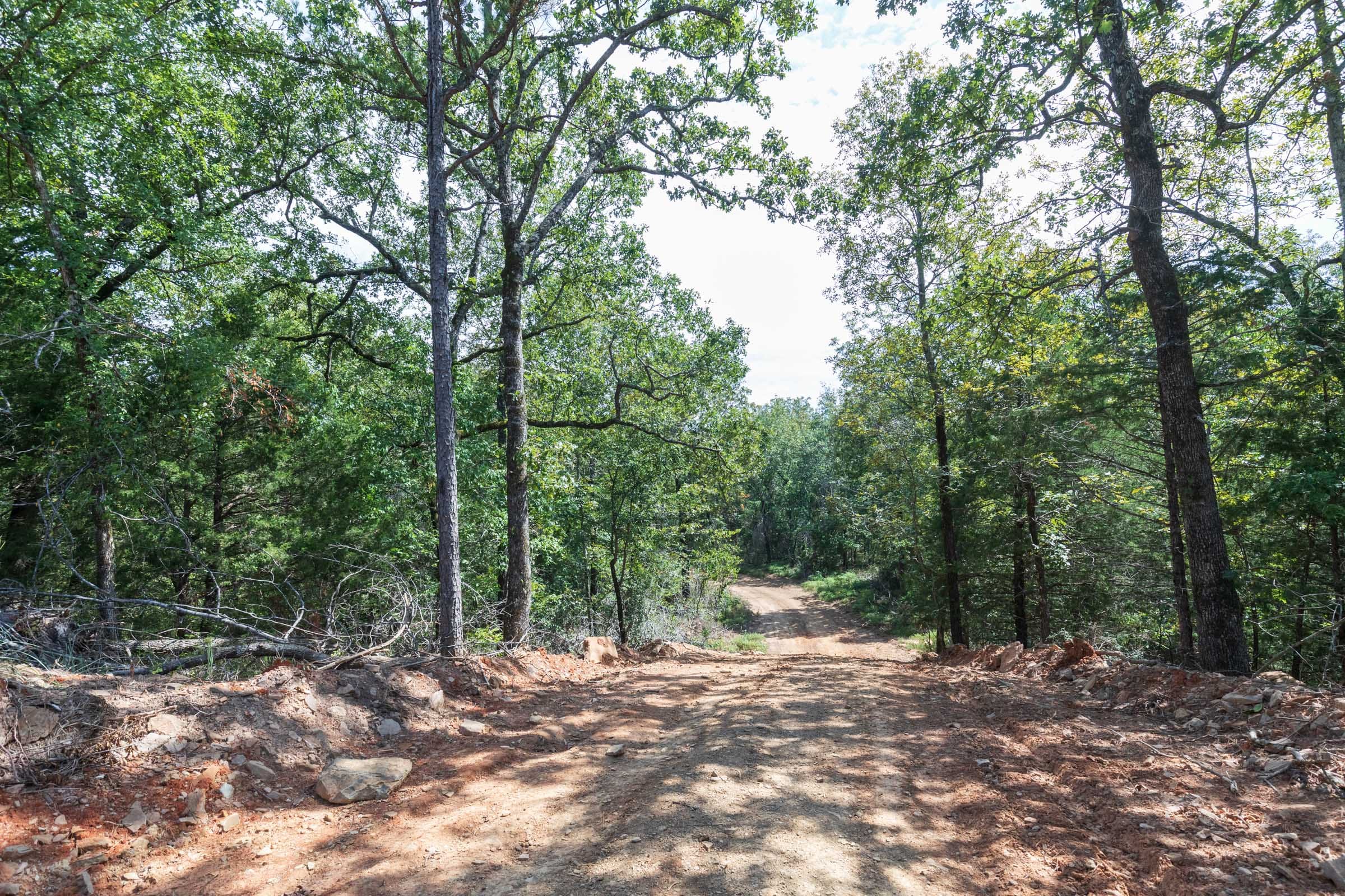 Stone Bridge Phase V Tract 406 photo 7