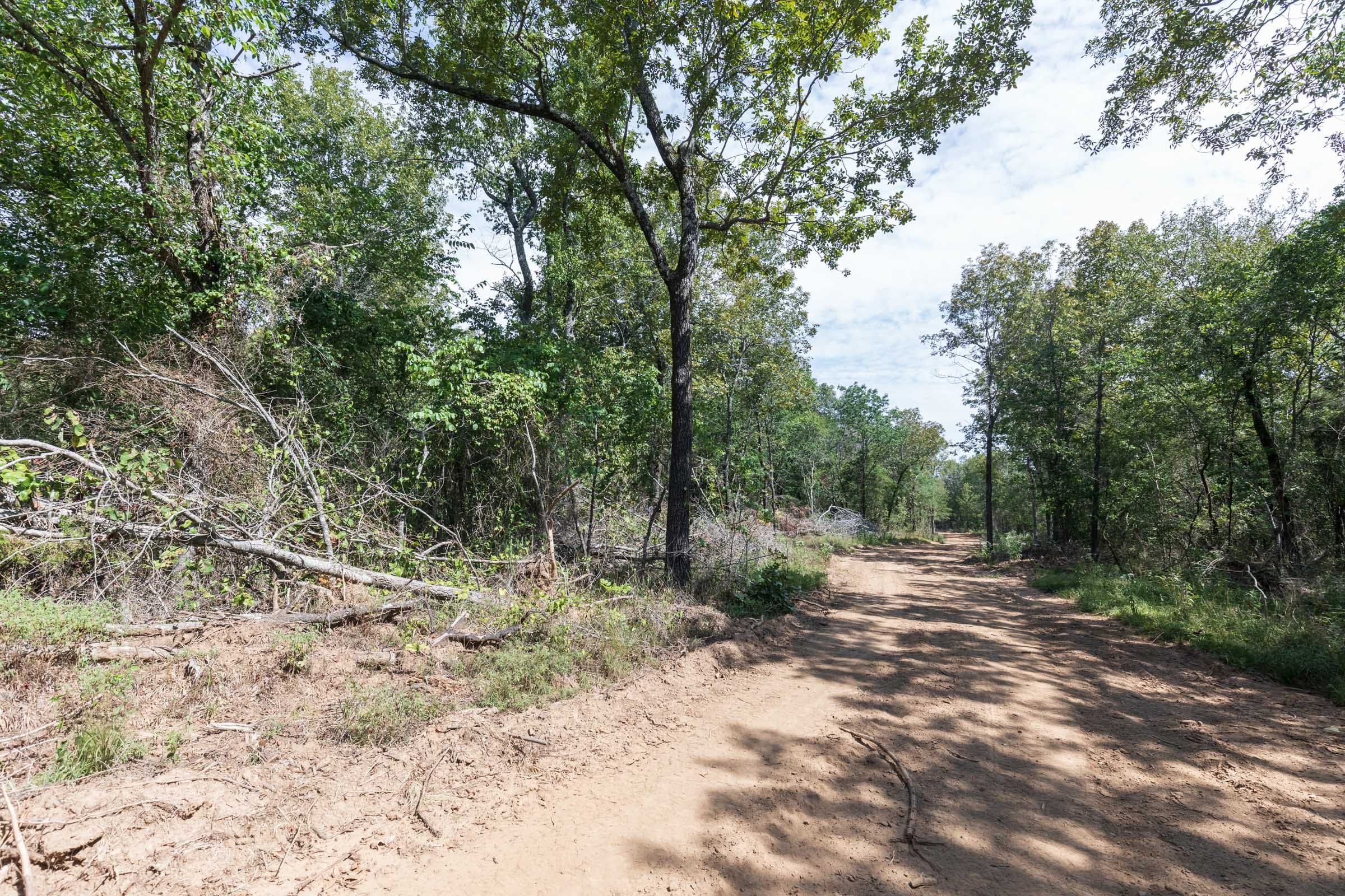 Stone Bridge Phase V Tract 406 photo 8