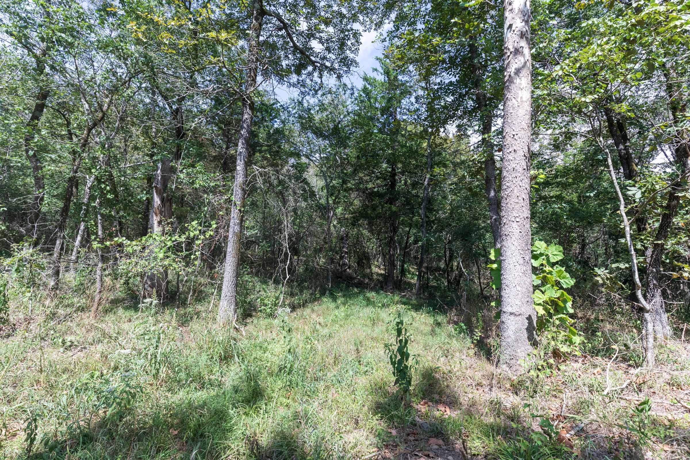 Stone Bridge Phase V Tract 406 photo 11