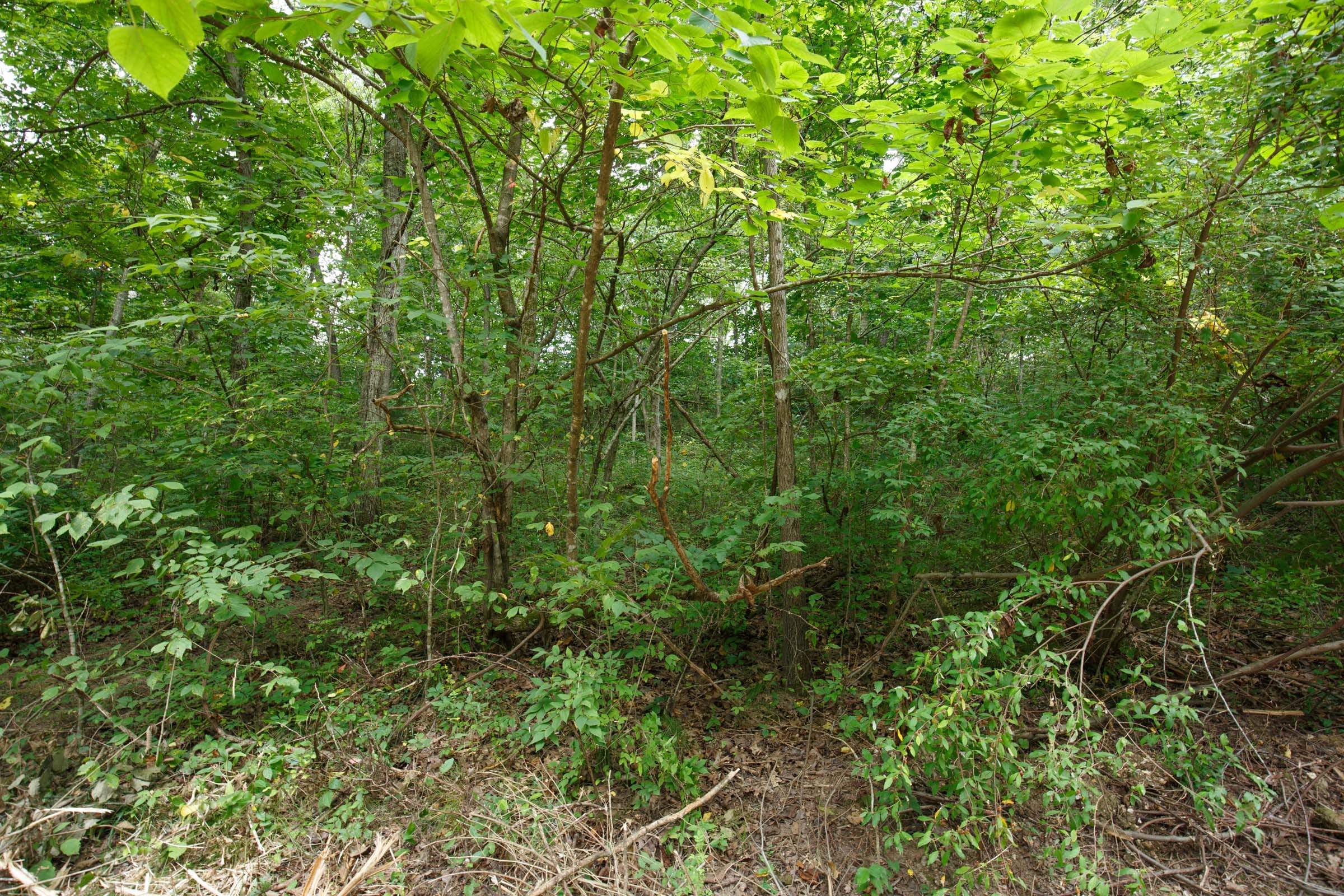 Spring Lake Plat 4 Tract 128 photo 4