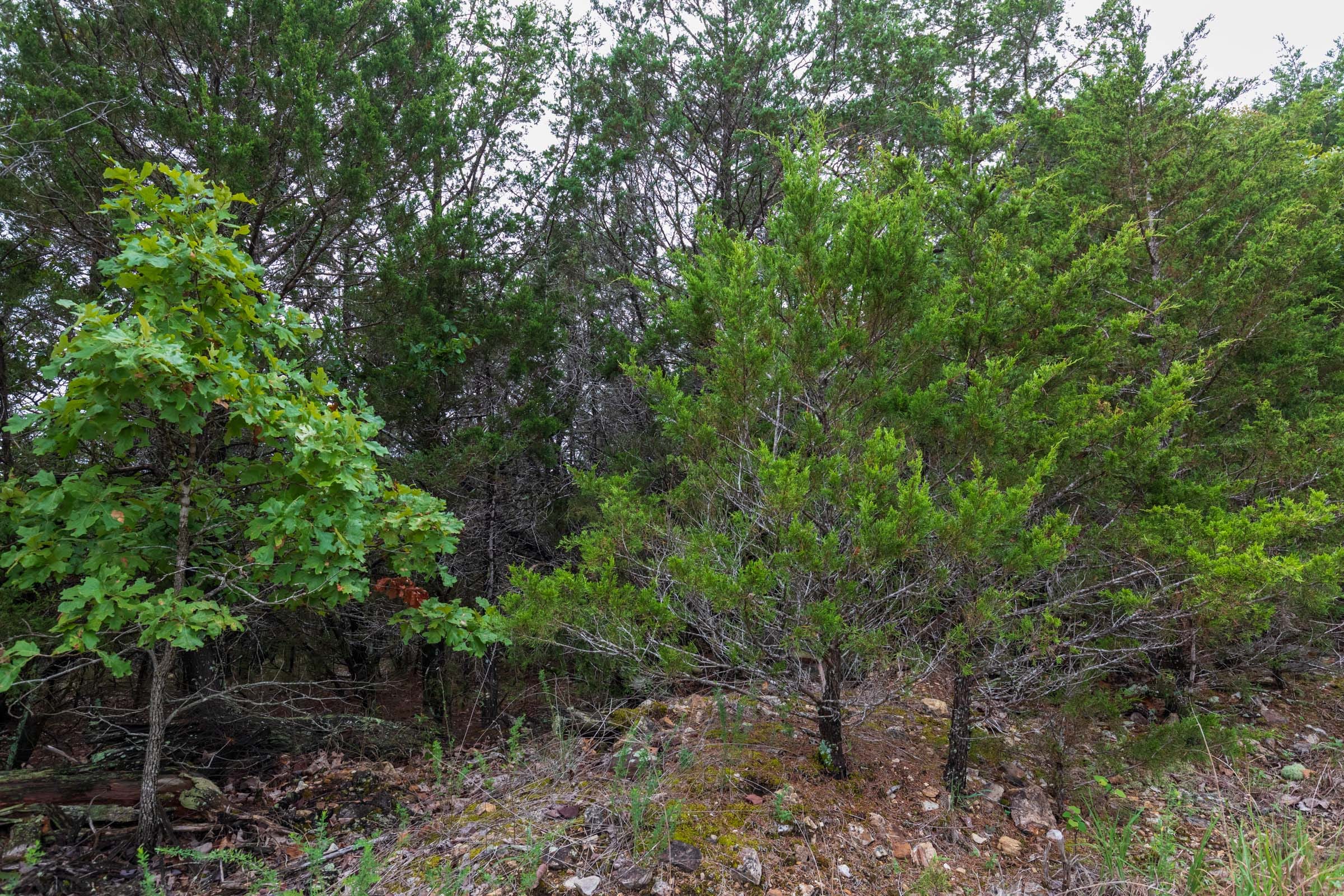 Heritage Bend Tract 5 photo 1