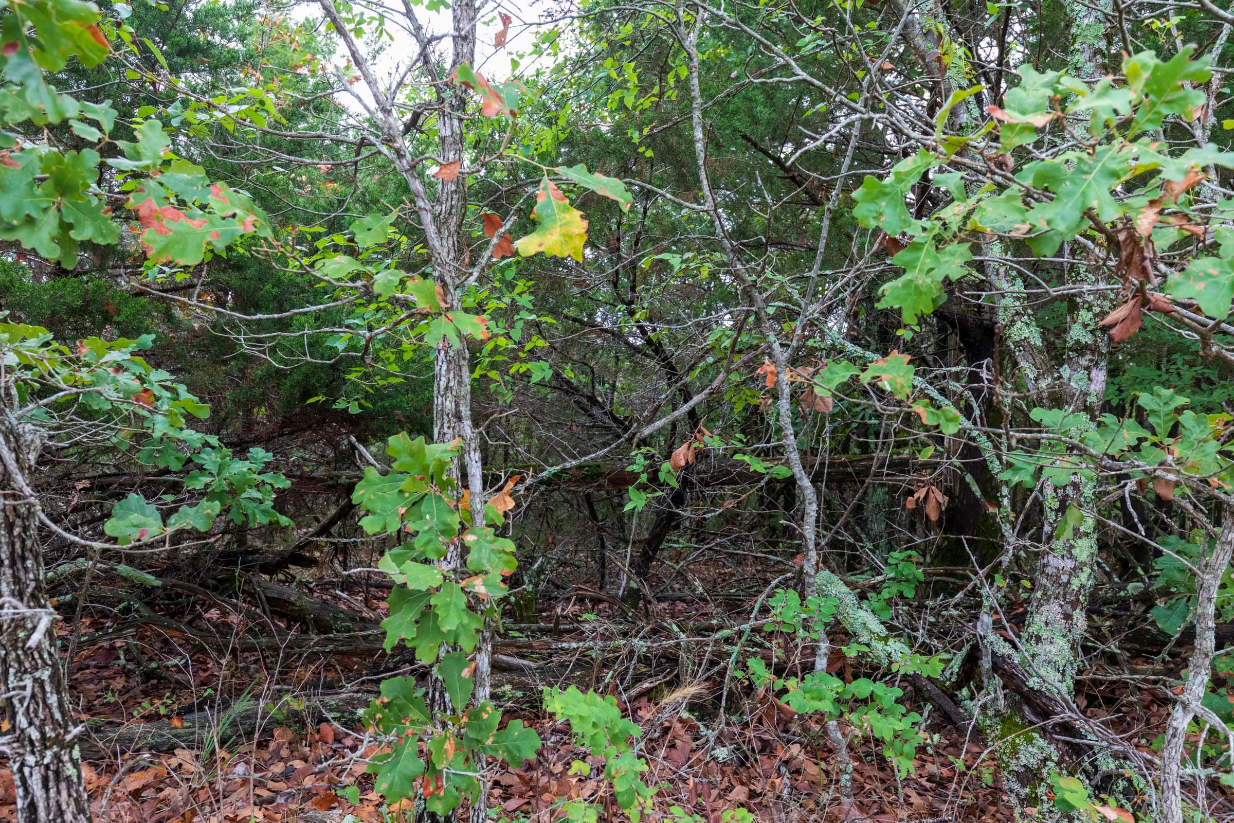 Heritage Bend Tract 5 photo 2