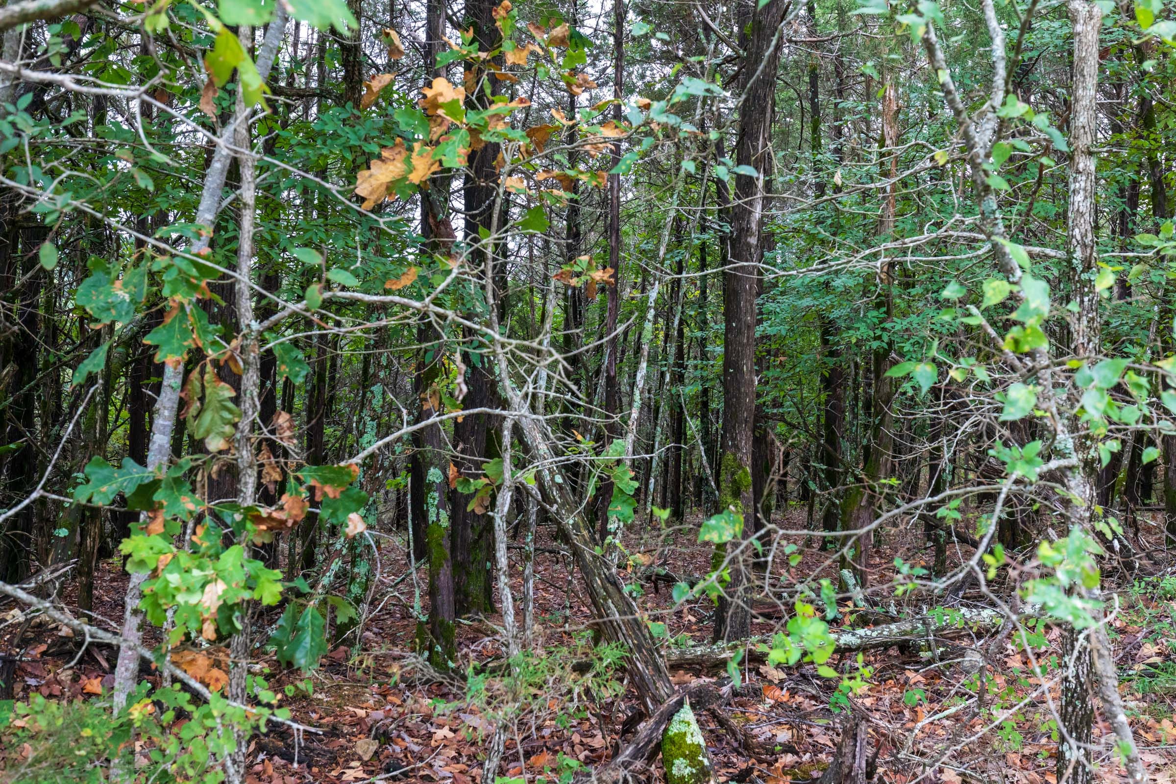 Heritage Bend Tract 5 photo 3