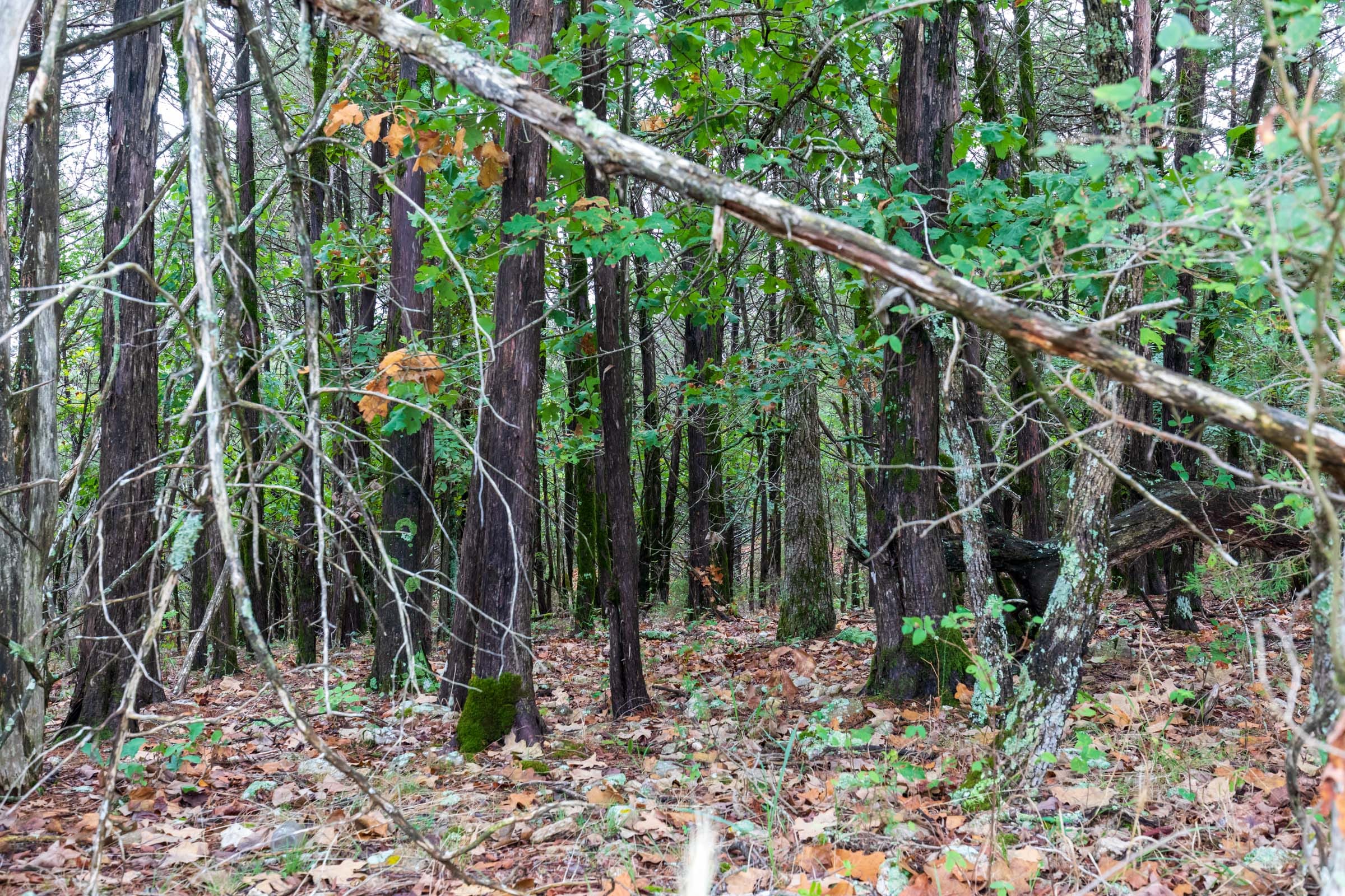 Heritage Bend Tract 5 photo 4