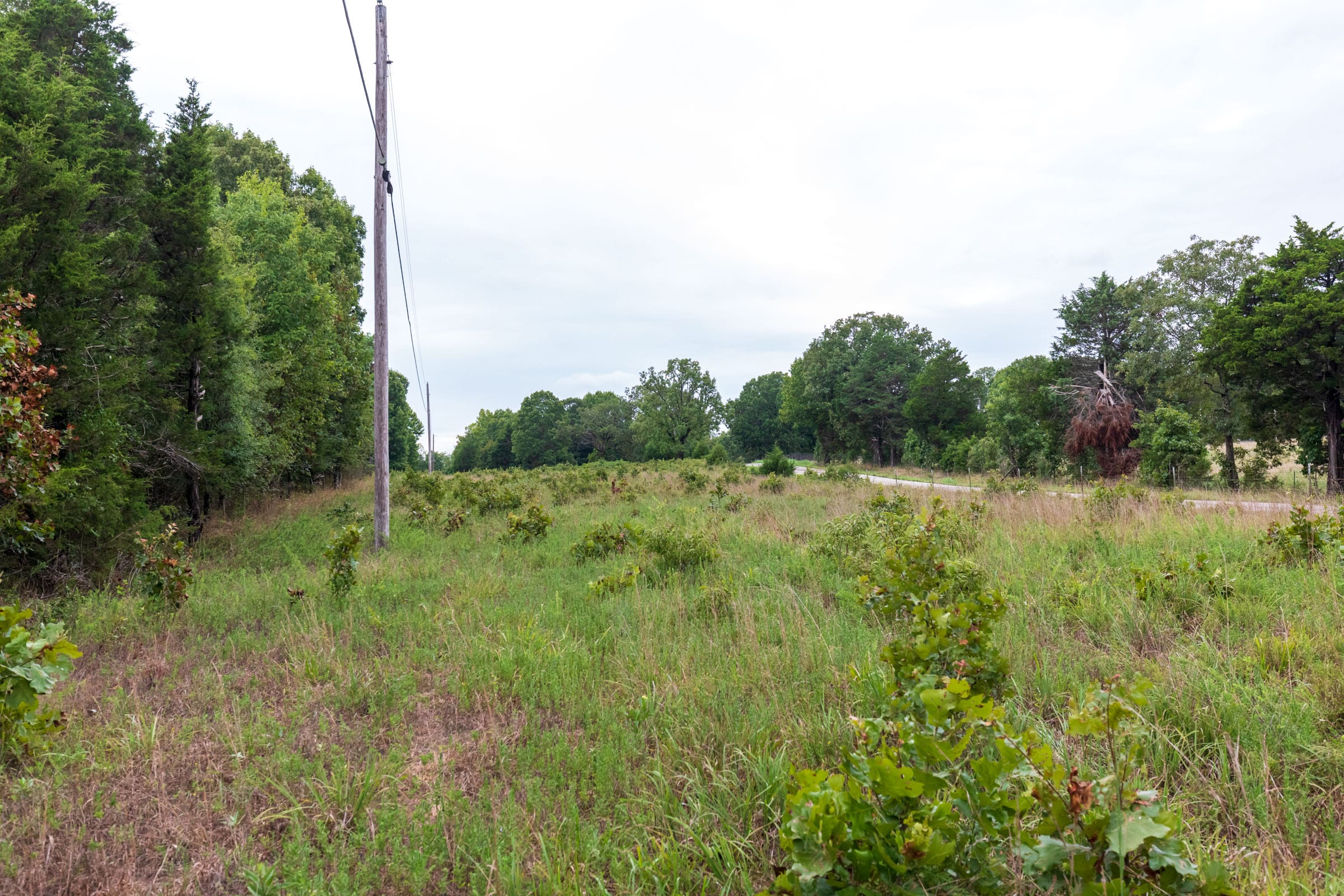 Heritage Bend Tract 5 photo 5