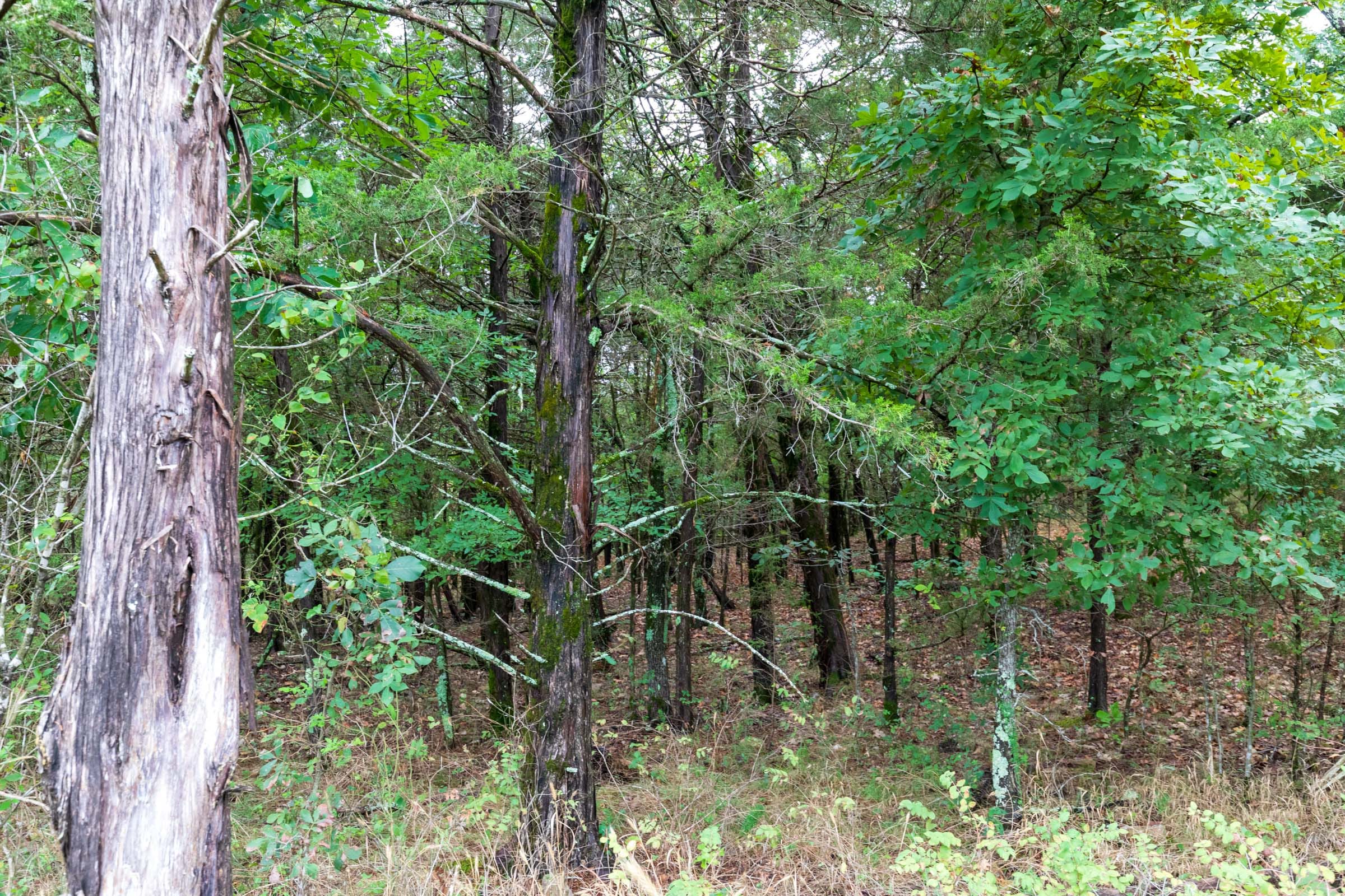 Heritage Bend Tract 5 photo 7