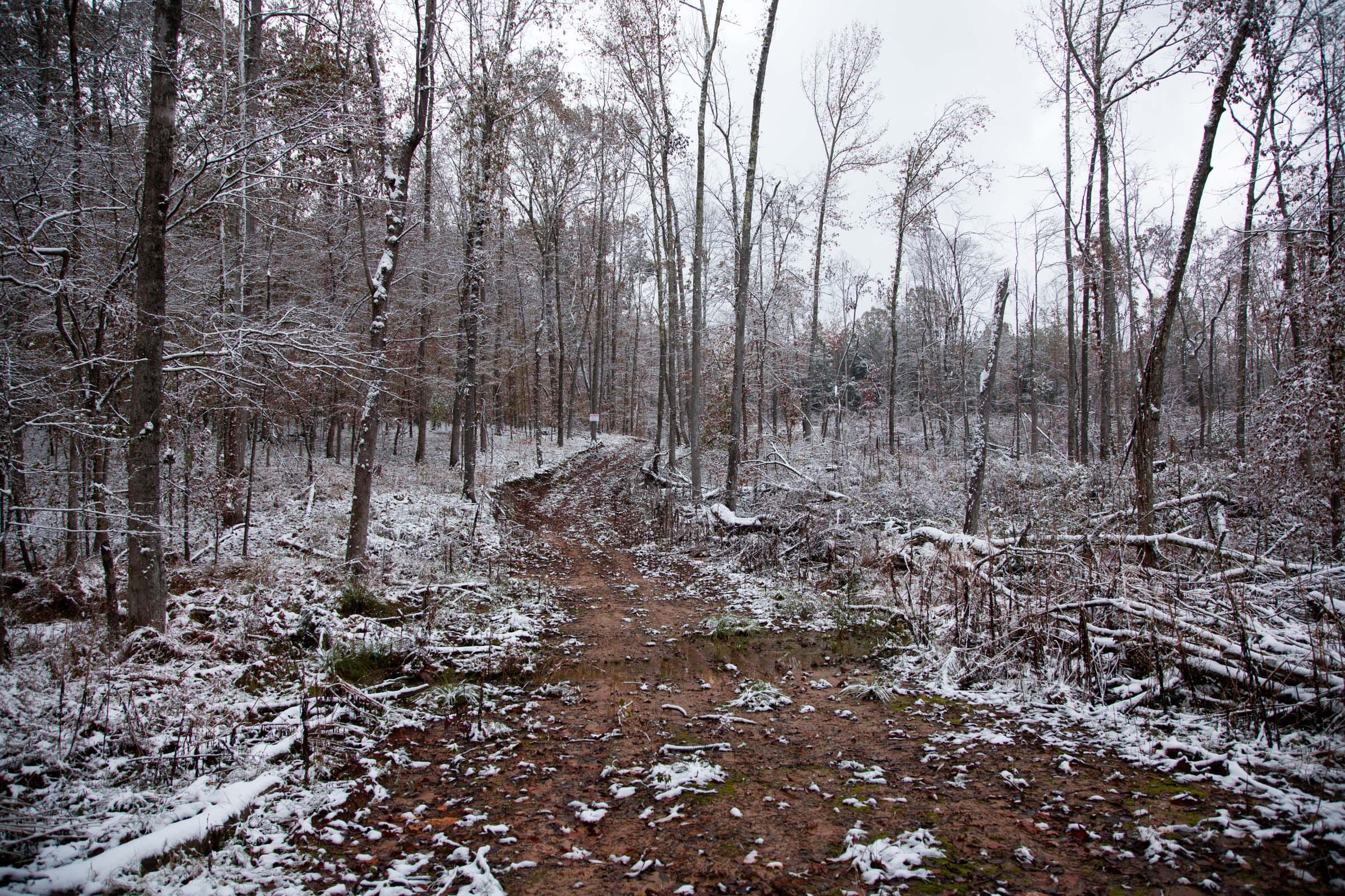 Sweet Water Ranch Tract 15 photo 1