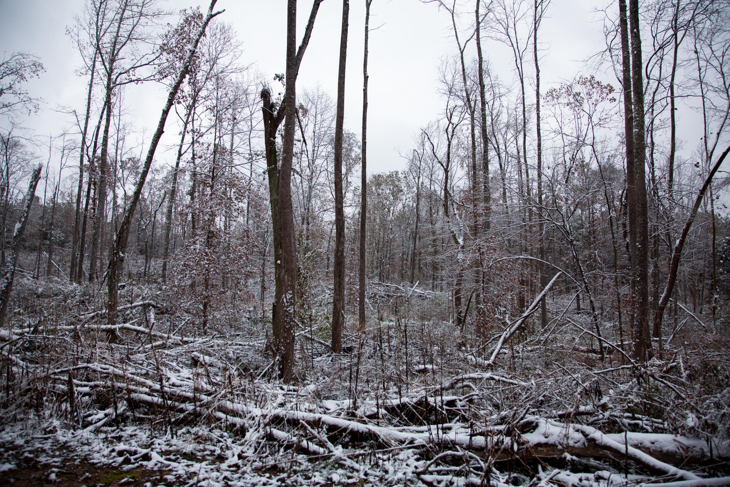 Sweet Water Ranch Tract 15 photo 2