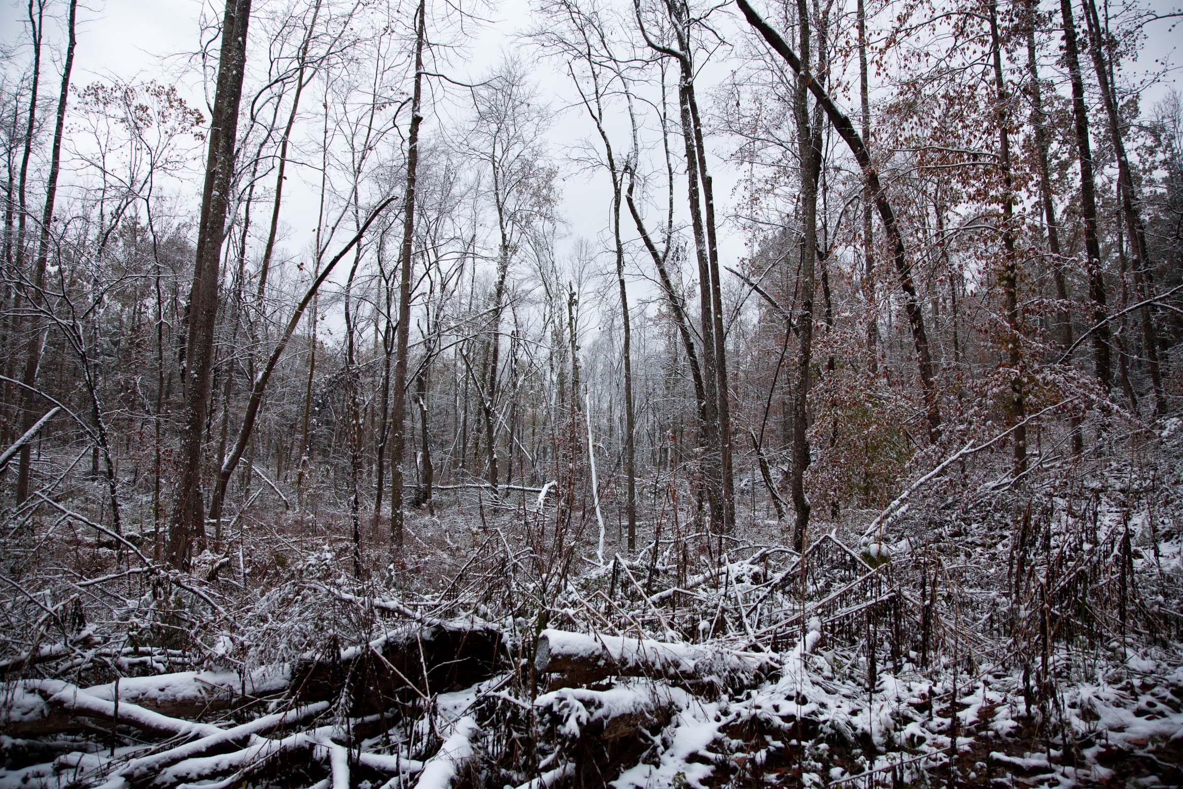 Sweet Water Ranch Tract 15 photo 3