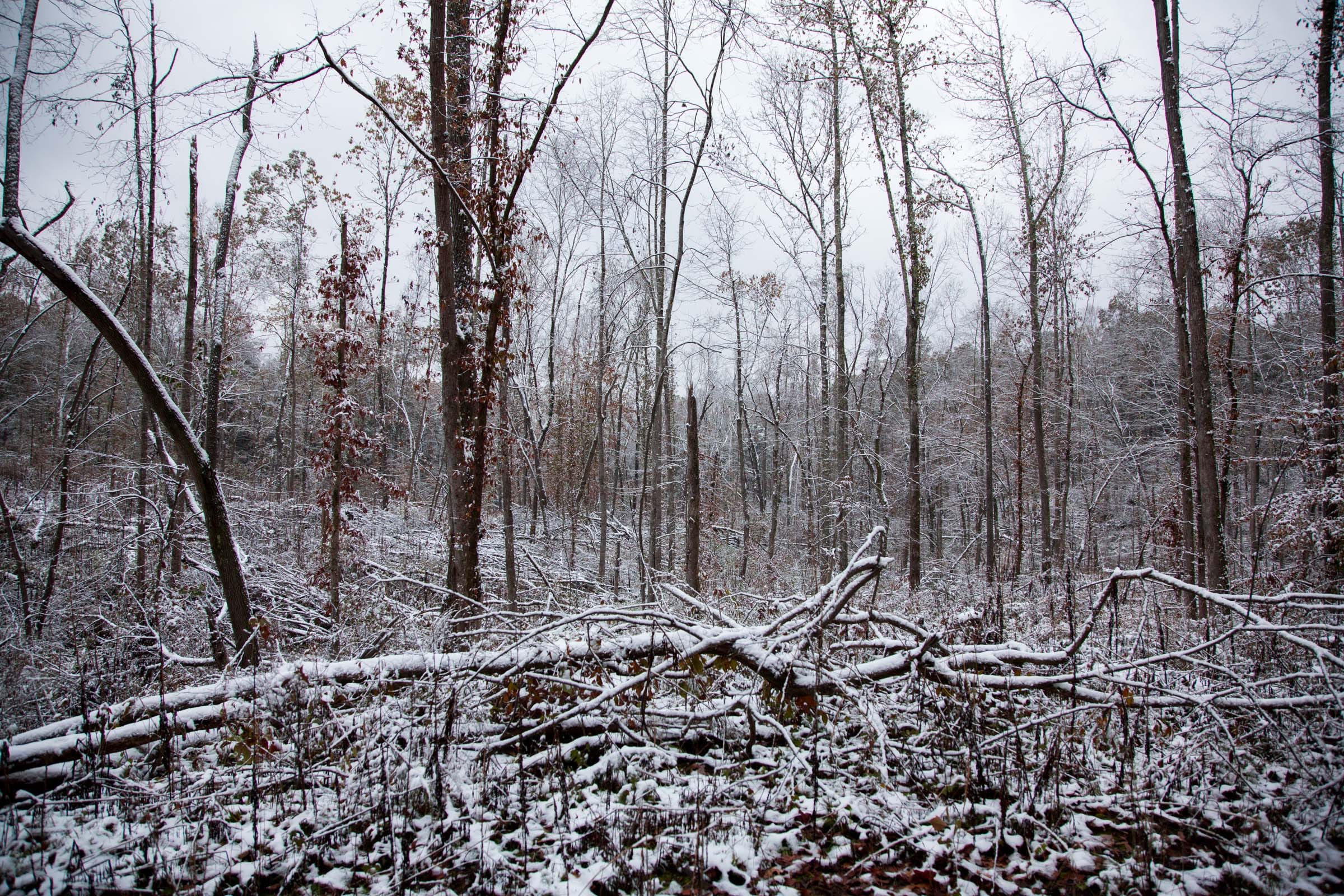 Sweet Water Ranch Tract 15 photo 4