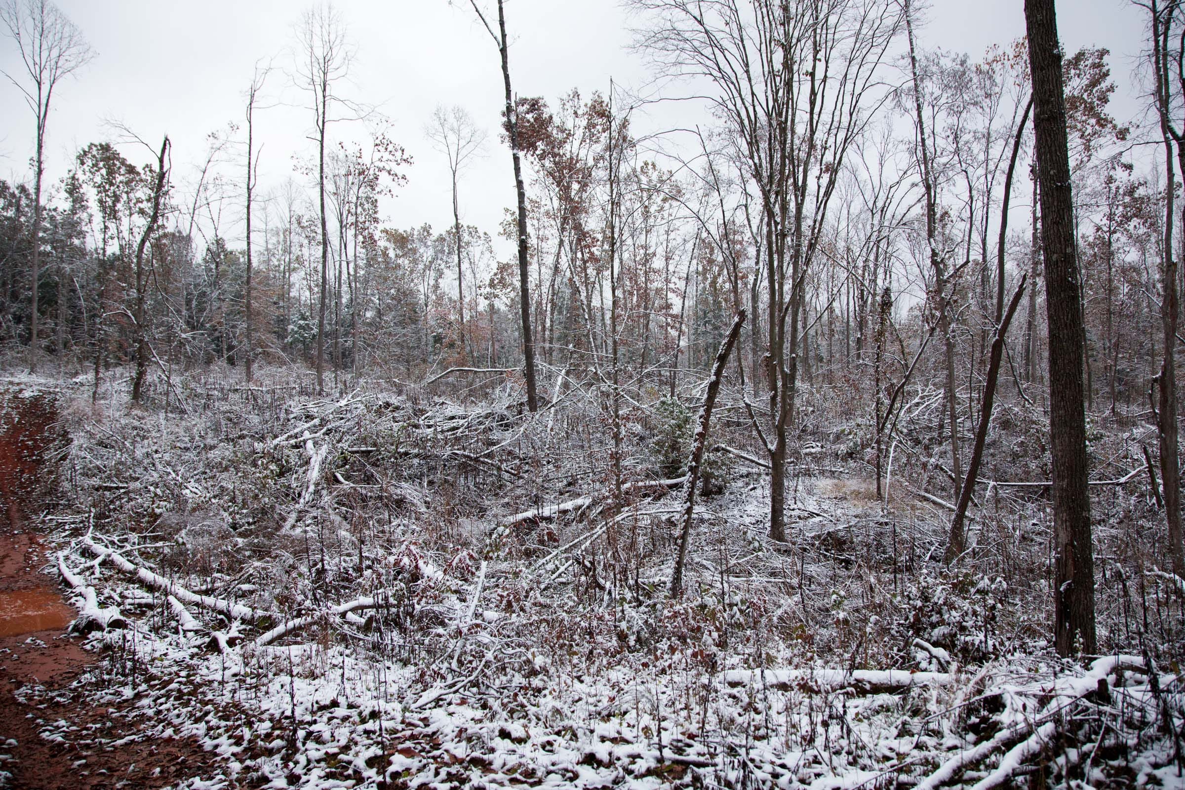 Sweet Water Ranch Tract 15 photo 5