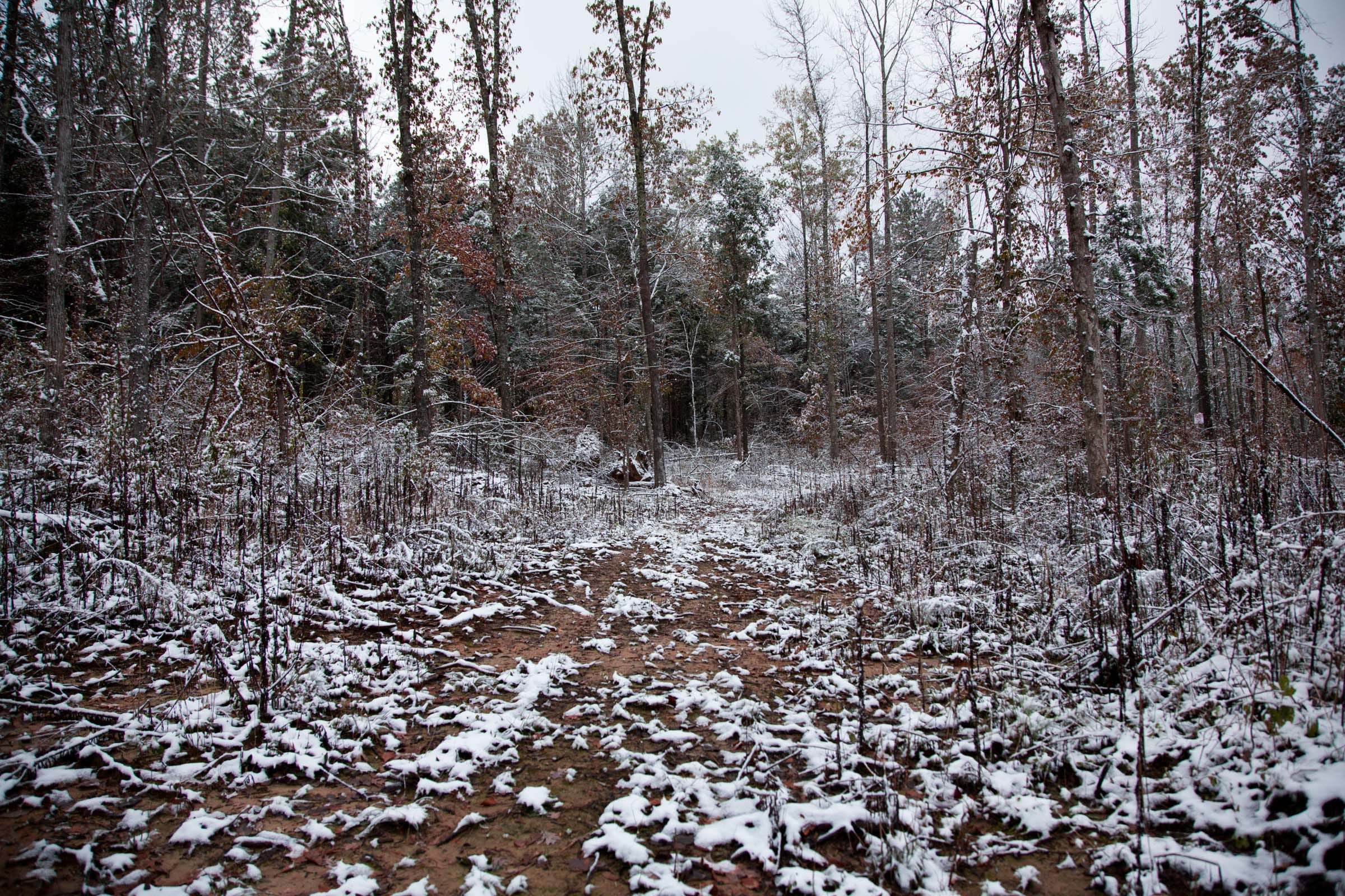 Sweet Water Ranch Tract 15 photo 10