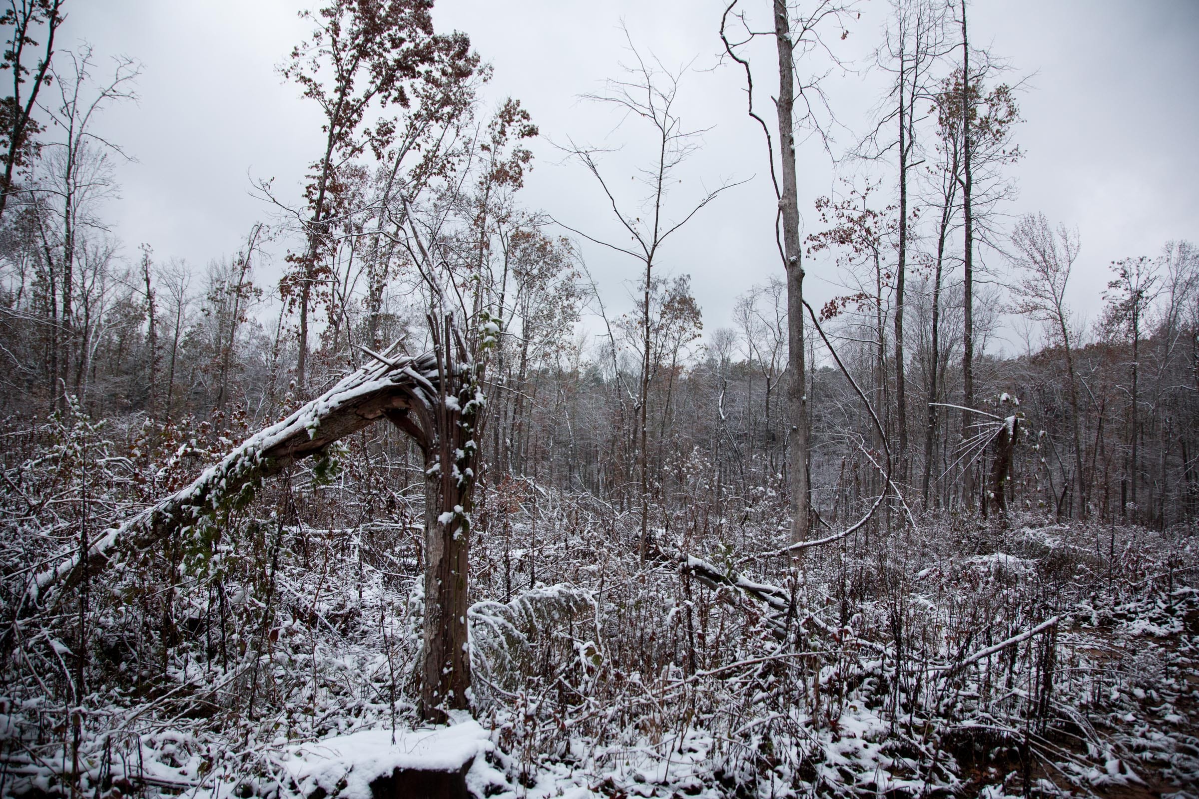 Sweet Water Ranch Tract 15 photo 11