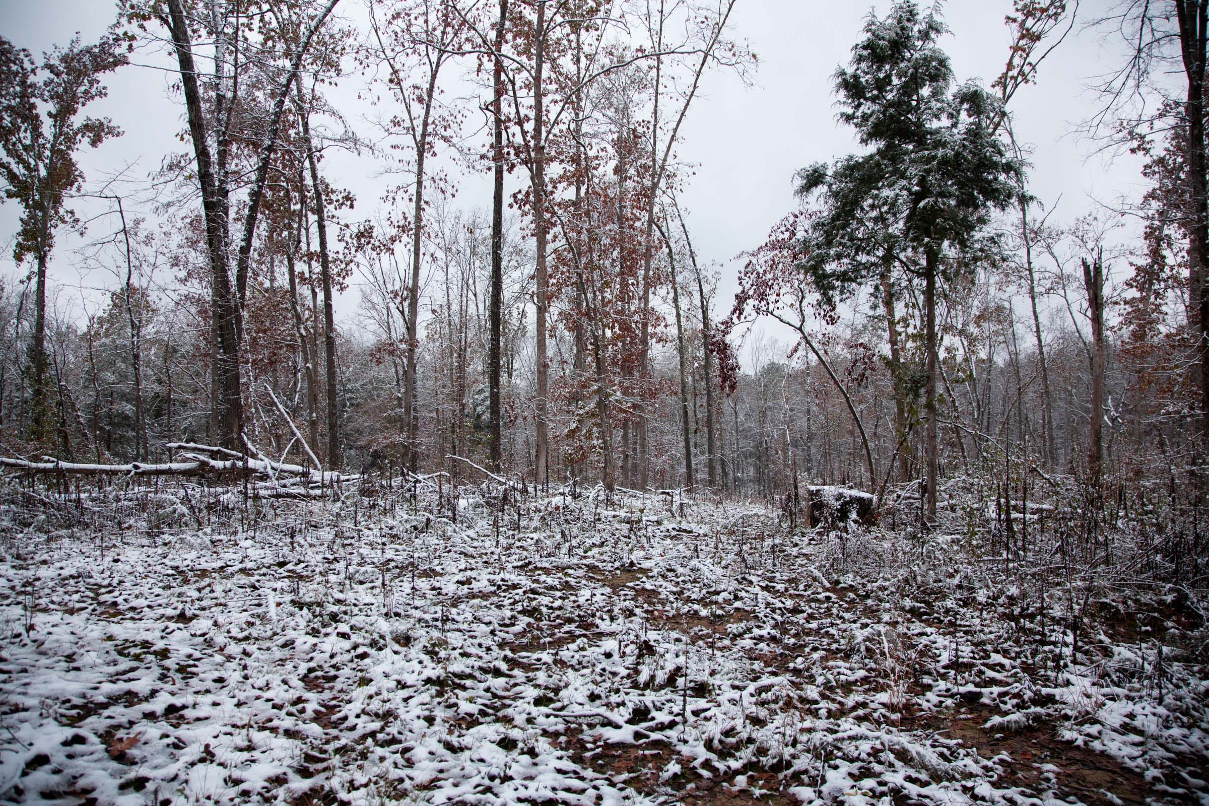 Sweet Water Ranch Tract 15 photo 12