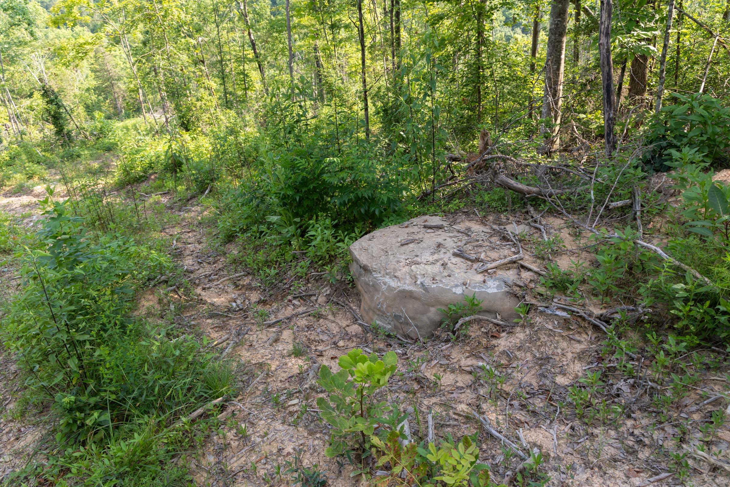 Creek Hollow Phase II Tract 83 photo 19