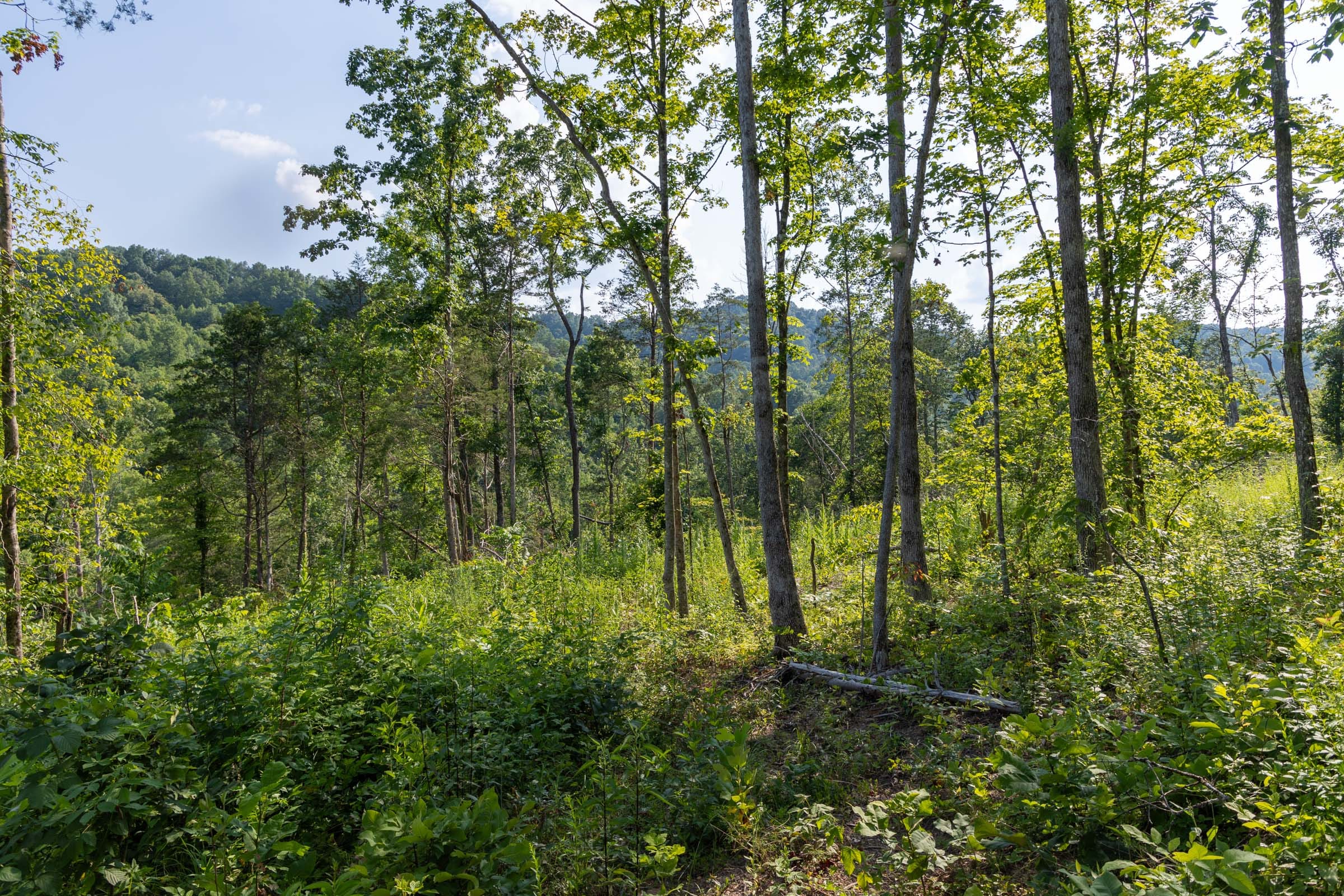 Creek Hollow Phase II Tract 83 photo 18