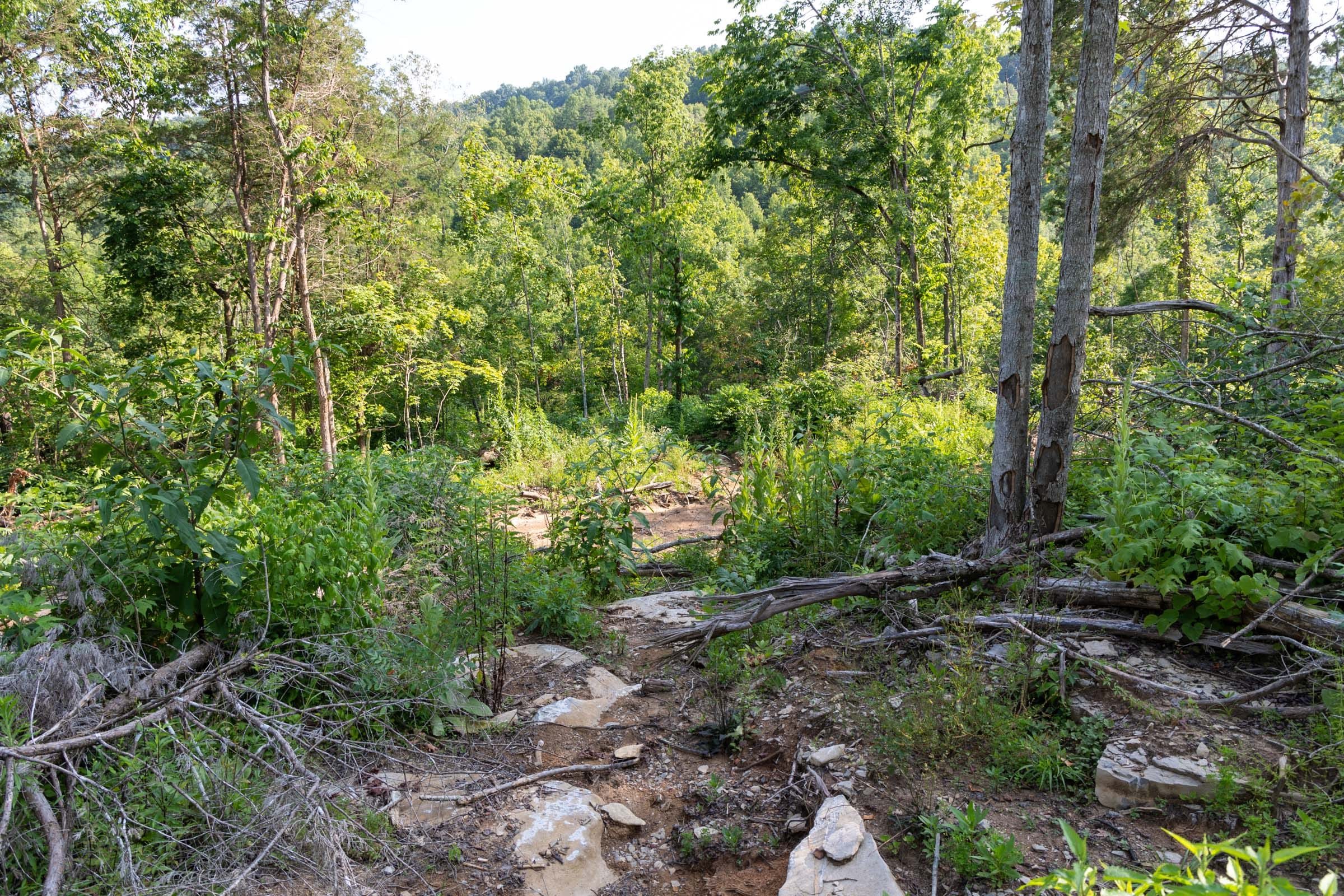 Creek Hollow Phase II Tract 83 photo 17