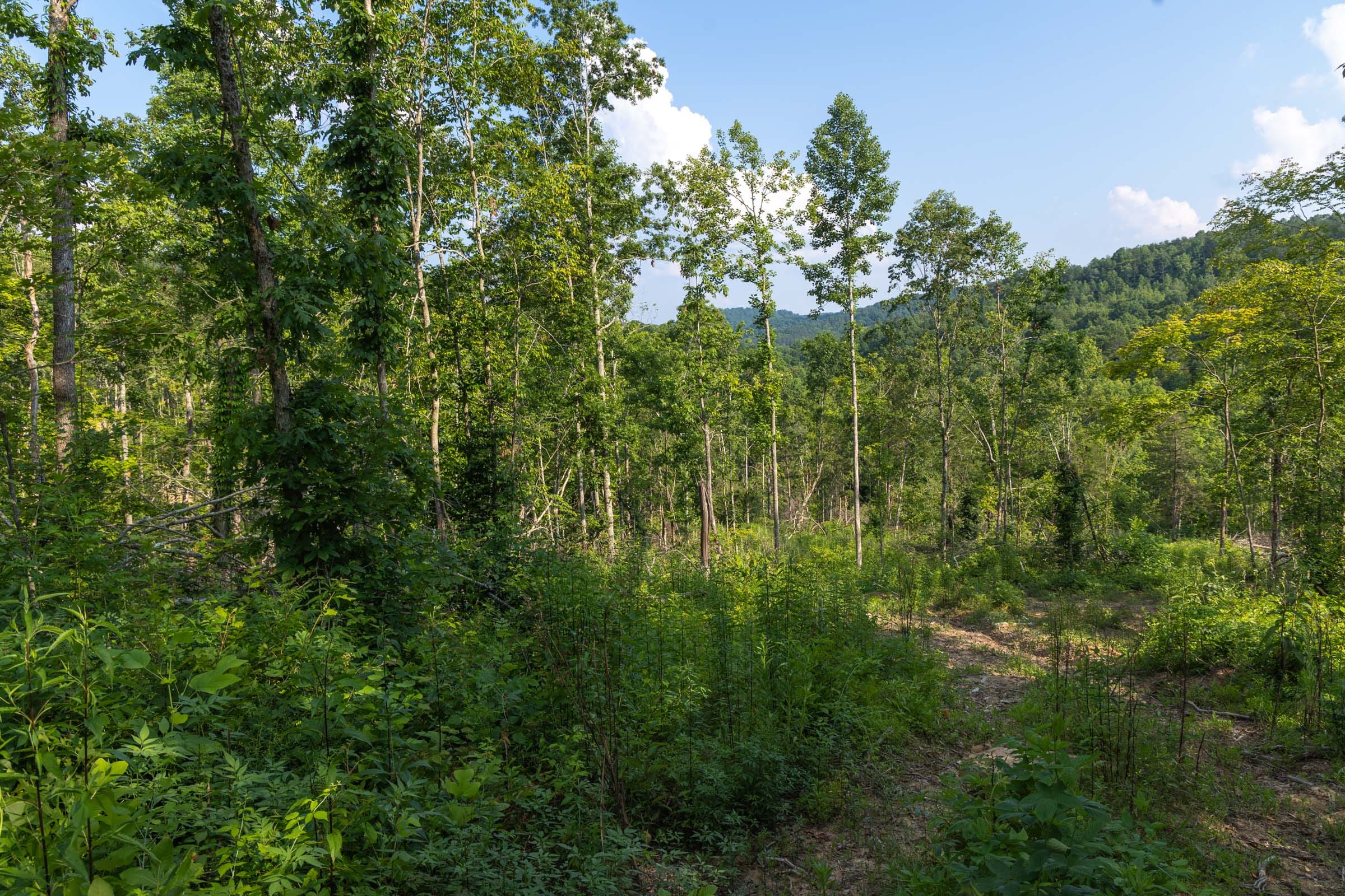 Creek Hollow Phase II Tract 83 photo 16